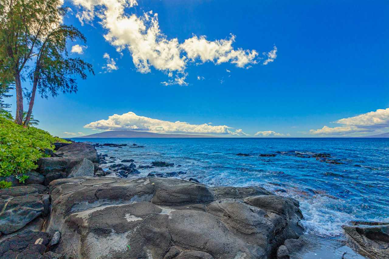 Mahinahina Beach condo # 101, Lahaina, Hawaii - photo 9 of 30
