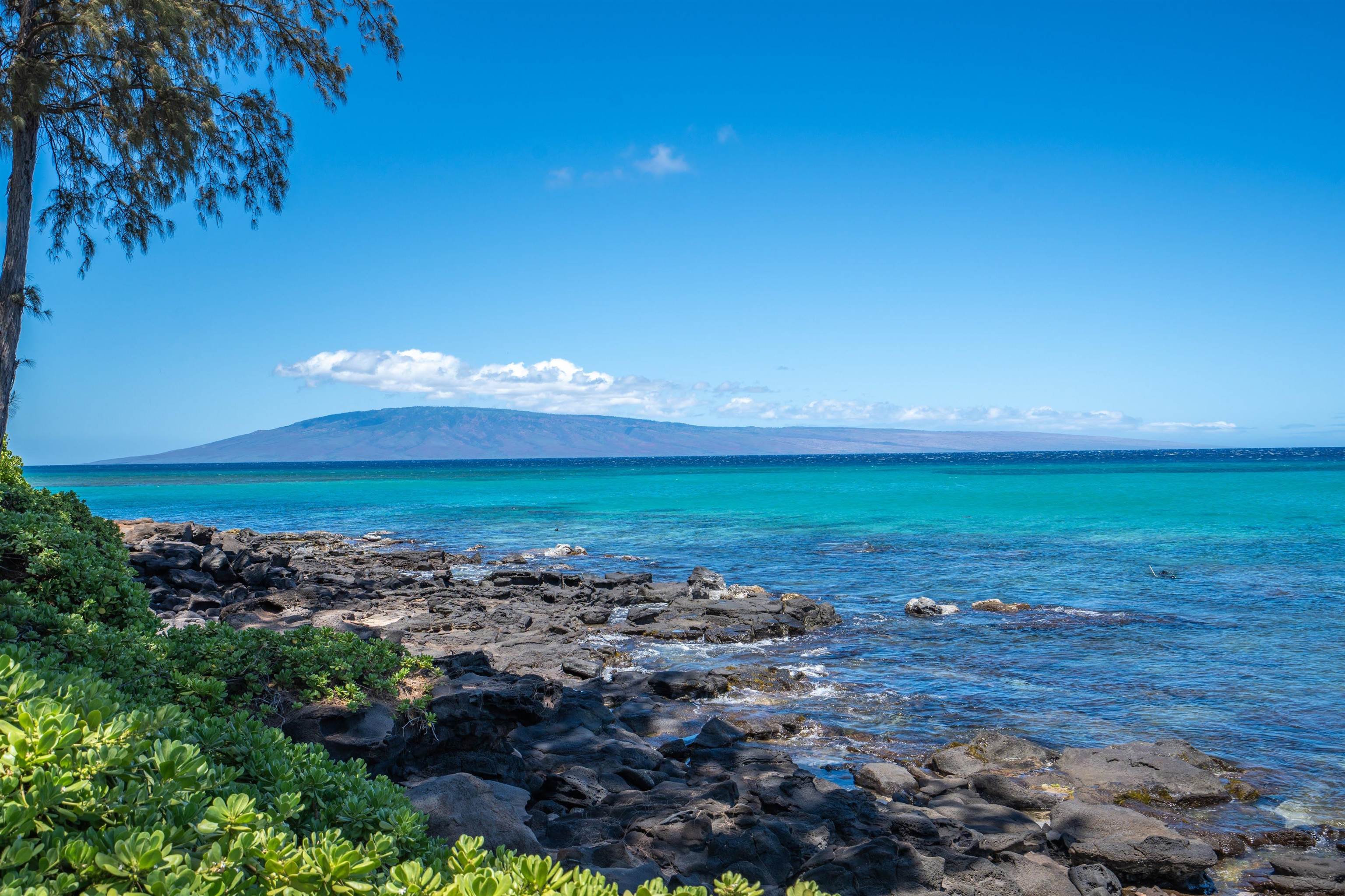 Mahinahina Beach condo # 101, Lahaina, Hawaii - photo 3 of 27