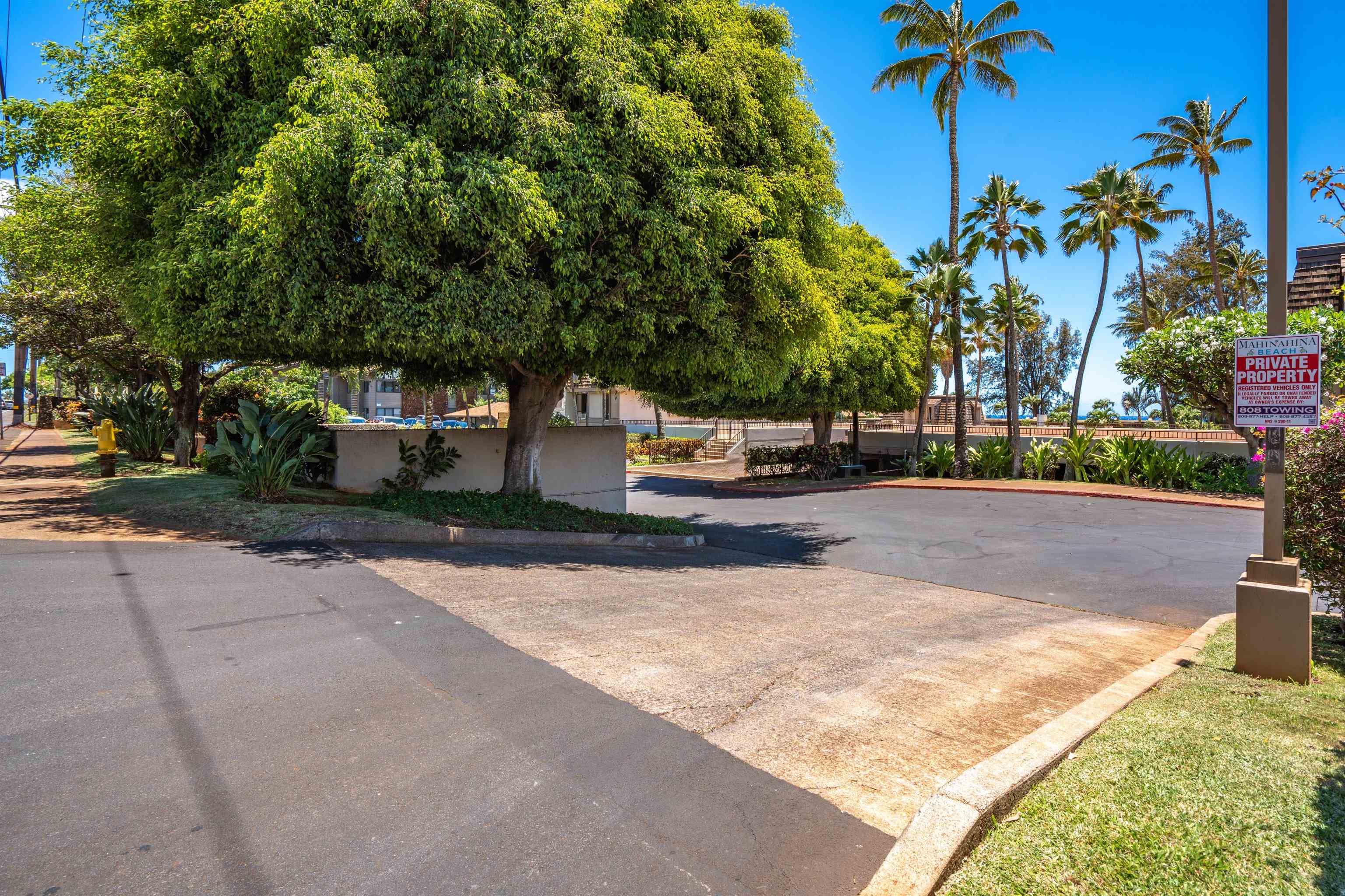 Mahinahina Beach condo # 101, Lahaina, Hawaii - photo 27 of 27