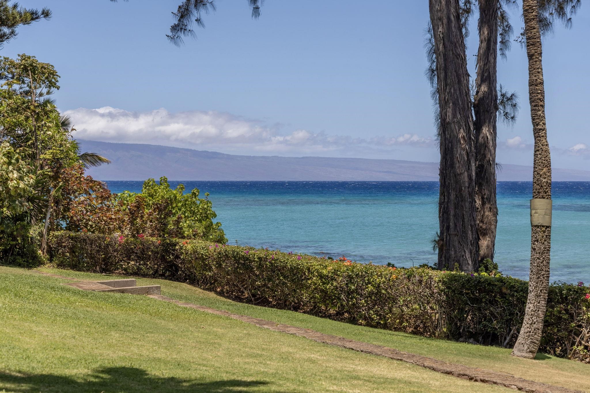 Mahinahina Beach condo # 105, Lahaina, Hawaii - photo 33 of 50