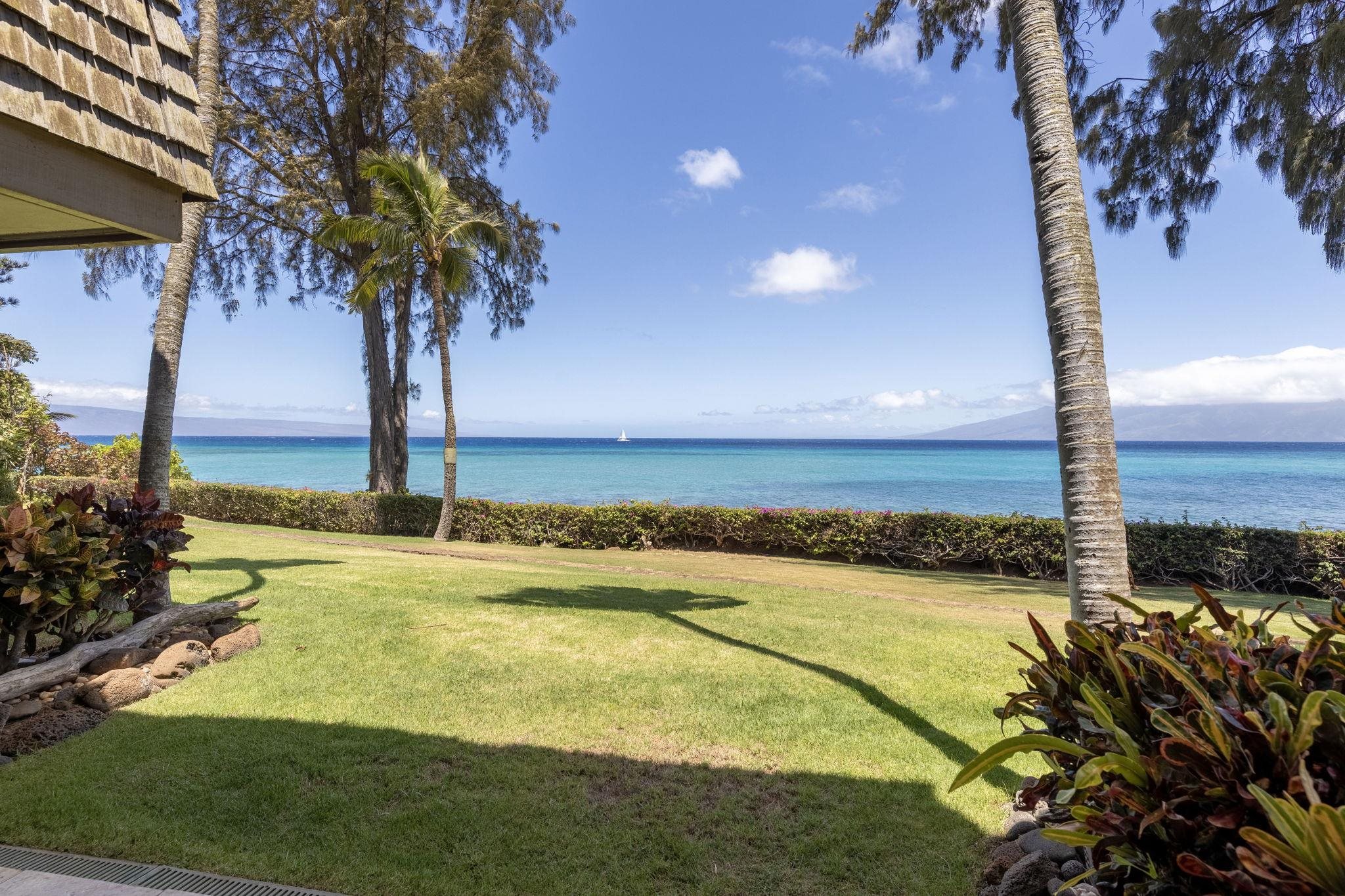 Mahinahina Beach condo # 105, Lahaina, Hawaii - photo 34 of 50