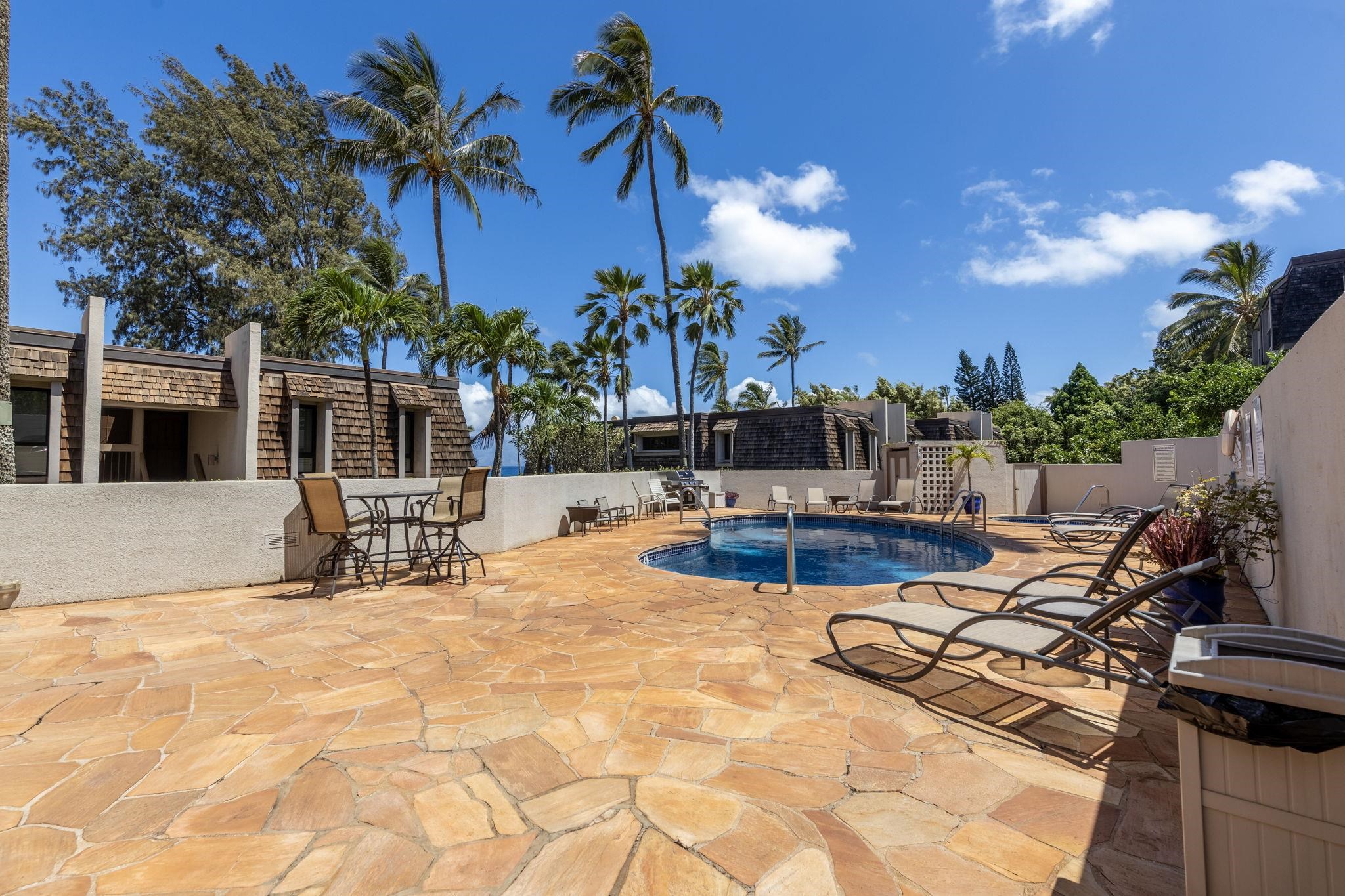 Mahinahina Beach condo # 105, Lahaina, Hawaii - photo 37 of 50