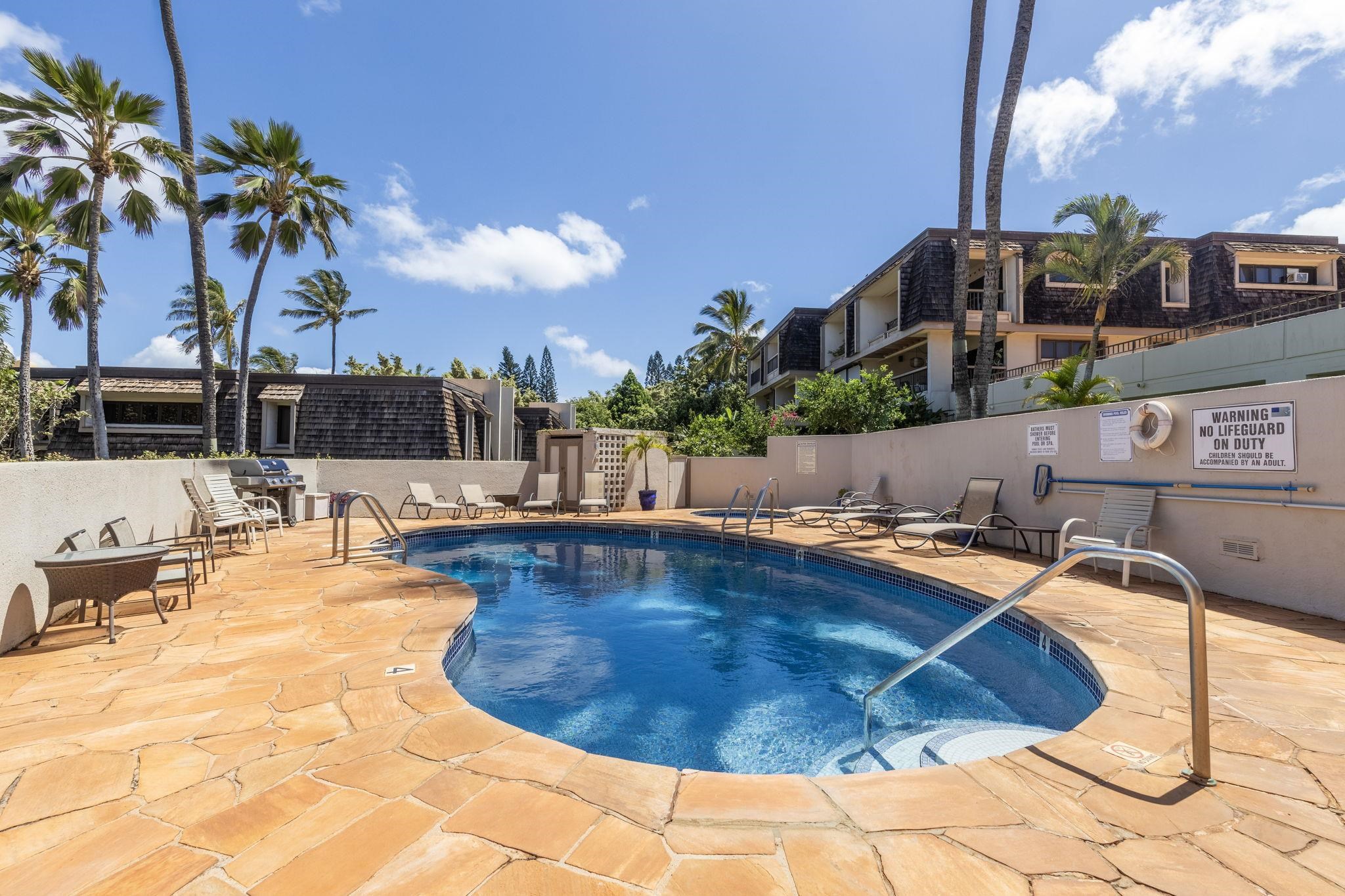 Mahinahina Beach condo # 105, Lahaina, Hawaii - photo 38 of 50