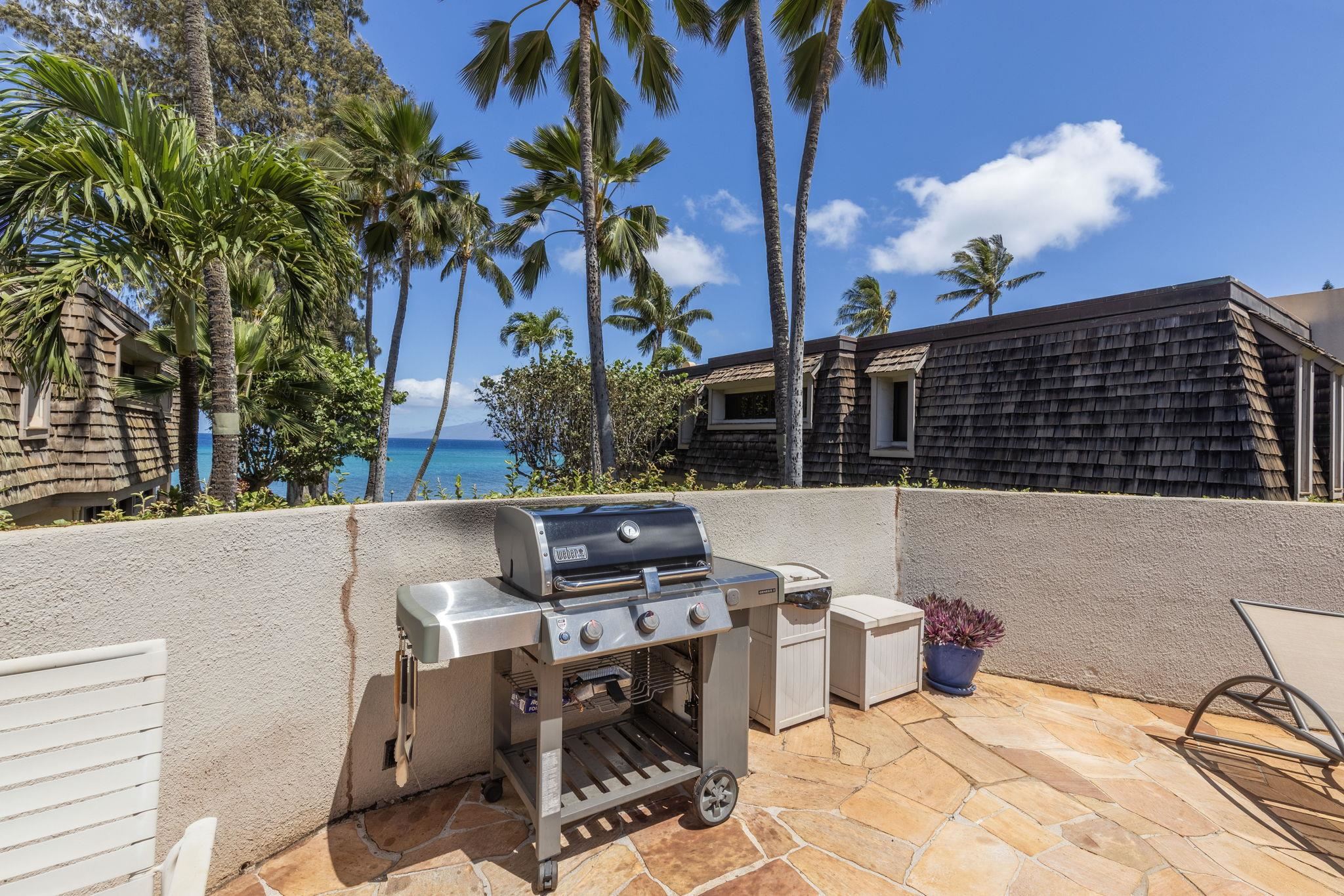 Mahinahina Beach condo # 105, Lahaina, Hawaii - photo 43 of 50