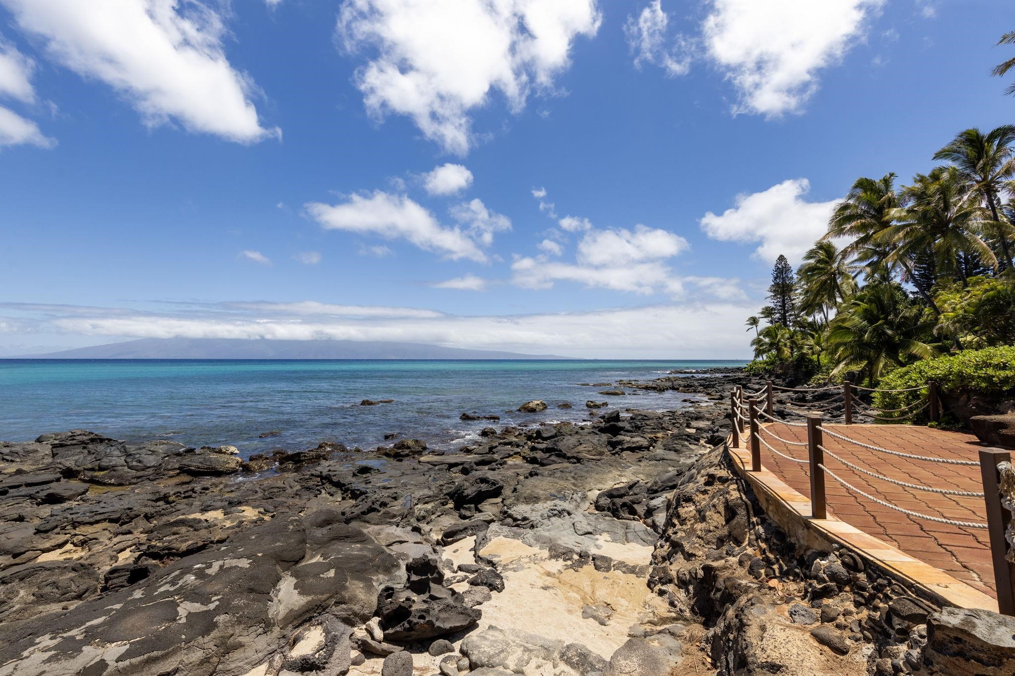 Mahinahina Beach condo # 105, Lahaina, Hawaii - photo 46 of 50