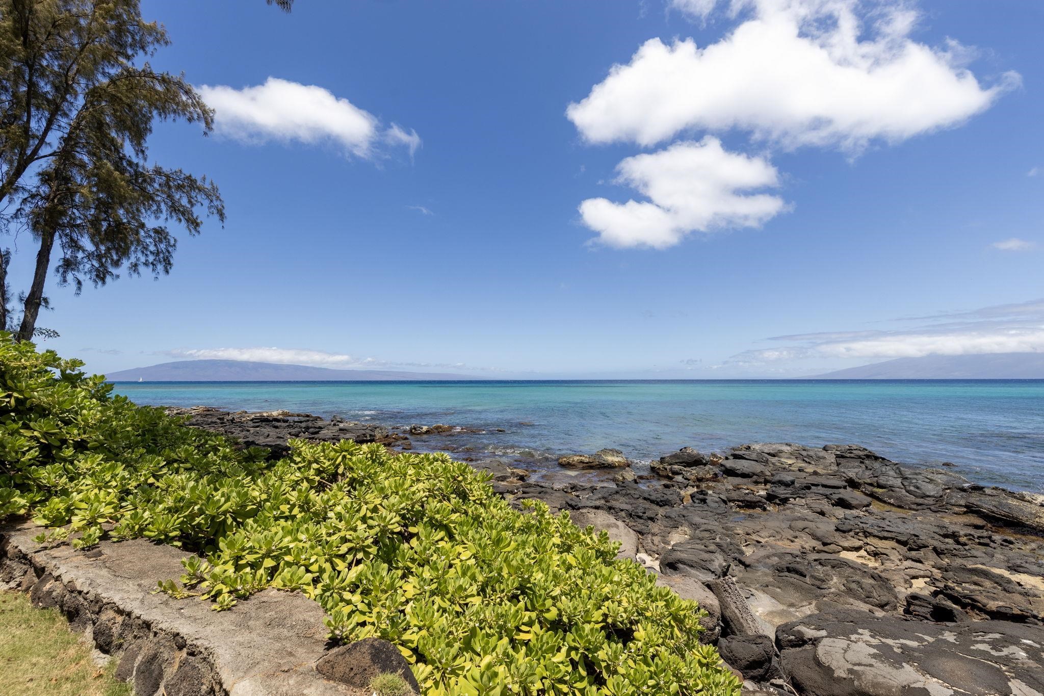 Mahinahina Beach condo # 105, Lahaina, Hawaii - photo 47 of 50