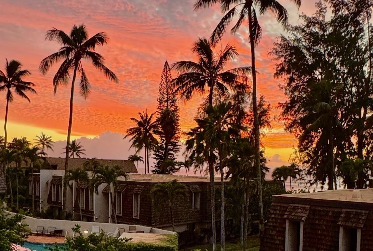 Mahinahina Beach condo # 114, Lahaina, Hawaii - photo 2 of 38