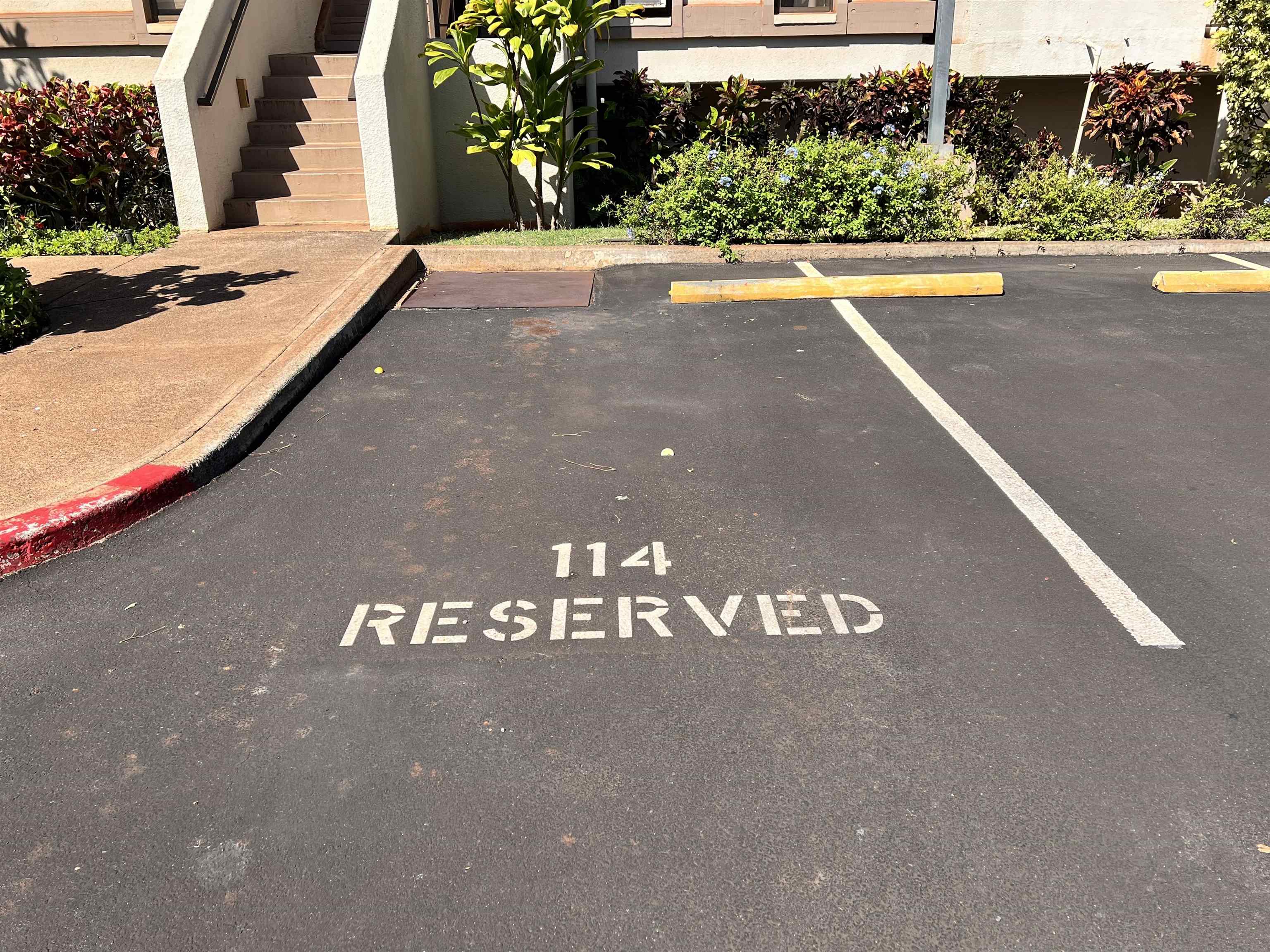 Mahinahina Beach condo # 114, Lahaina, Hawaii - photo 24 of 38