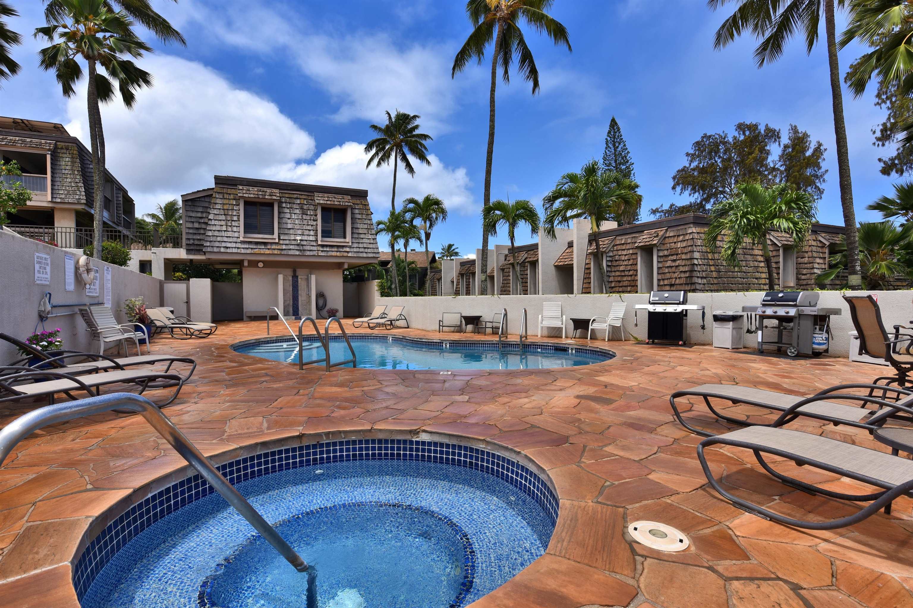 Mahinahina Beach condo # 208, Lahaina, Hawaii - photo 17 of 20