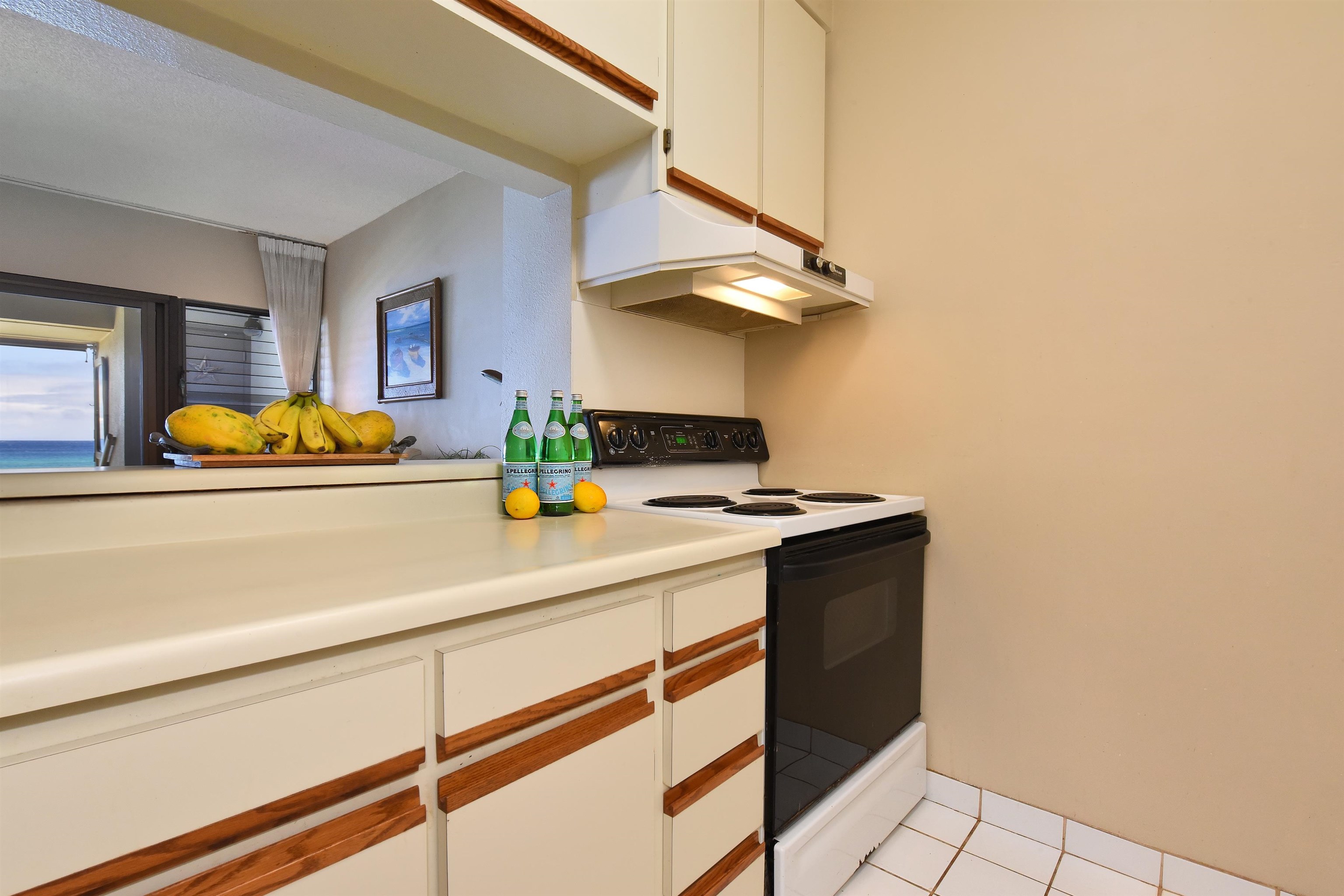 Mahinahina Beach condo # 208, Lahaina, Hawaii - photo 6 of 20