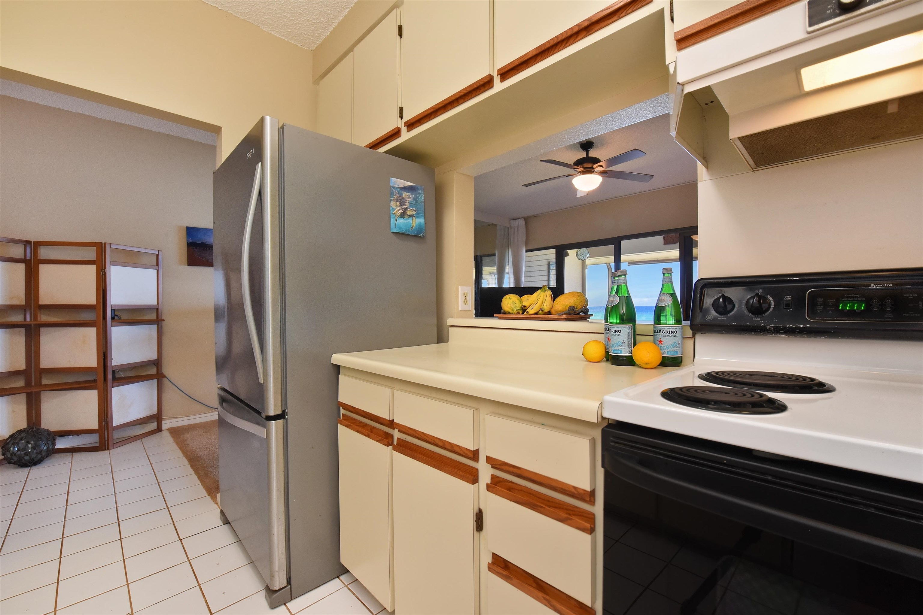 Mahinahina Beach condo # 208, Lahaina, Hawaii - photo 7 of 20