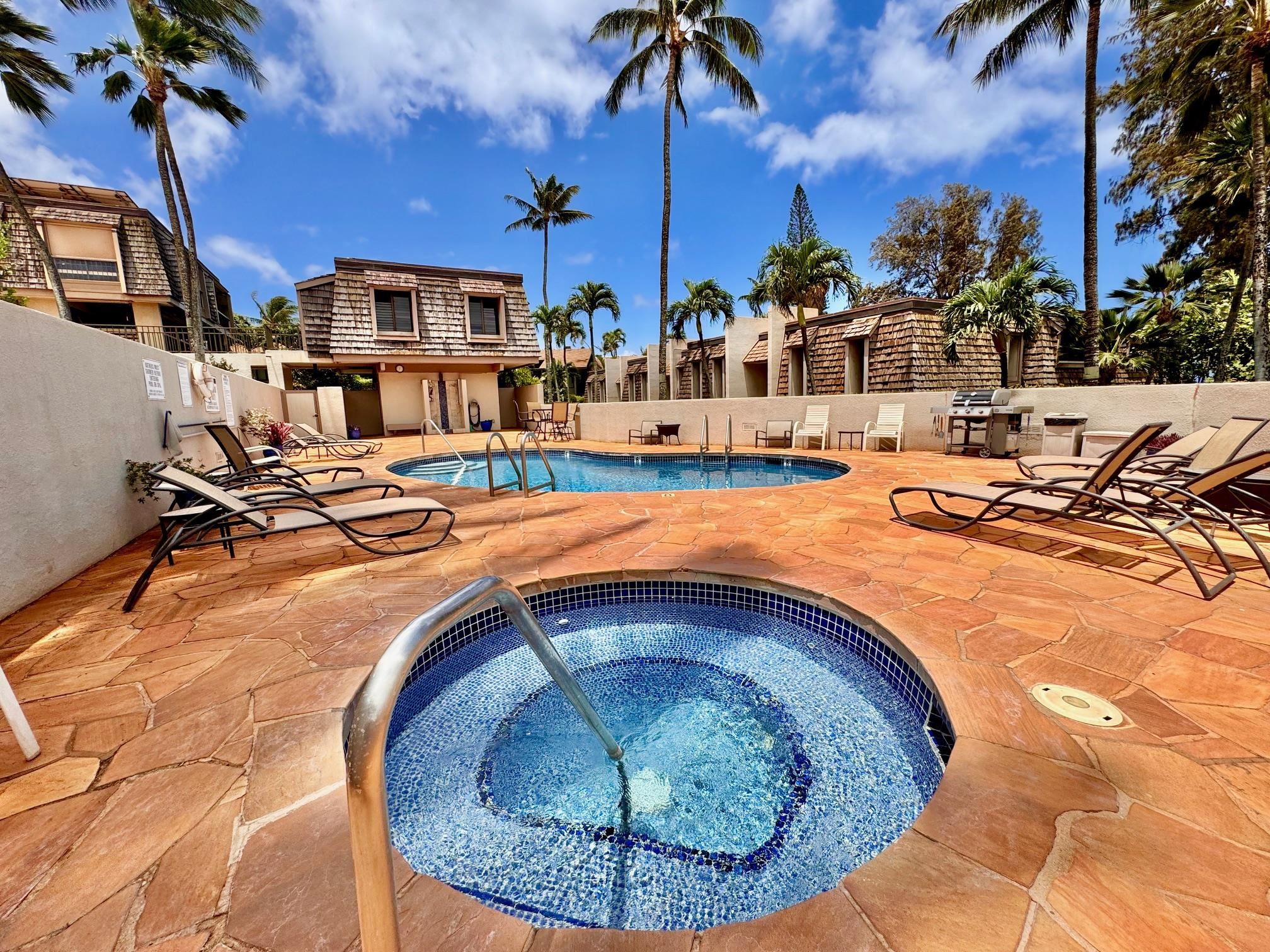 Mahinahina Beach condo # 212, Lahaina, Hawaii - photo 13 of 48