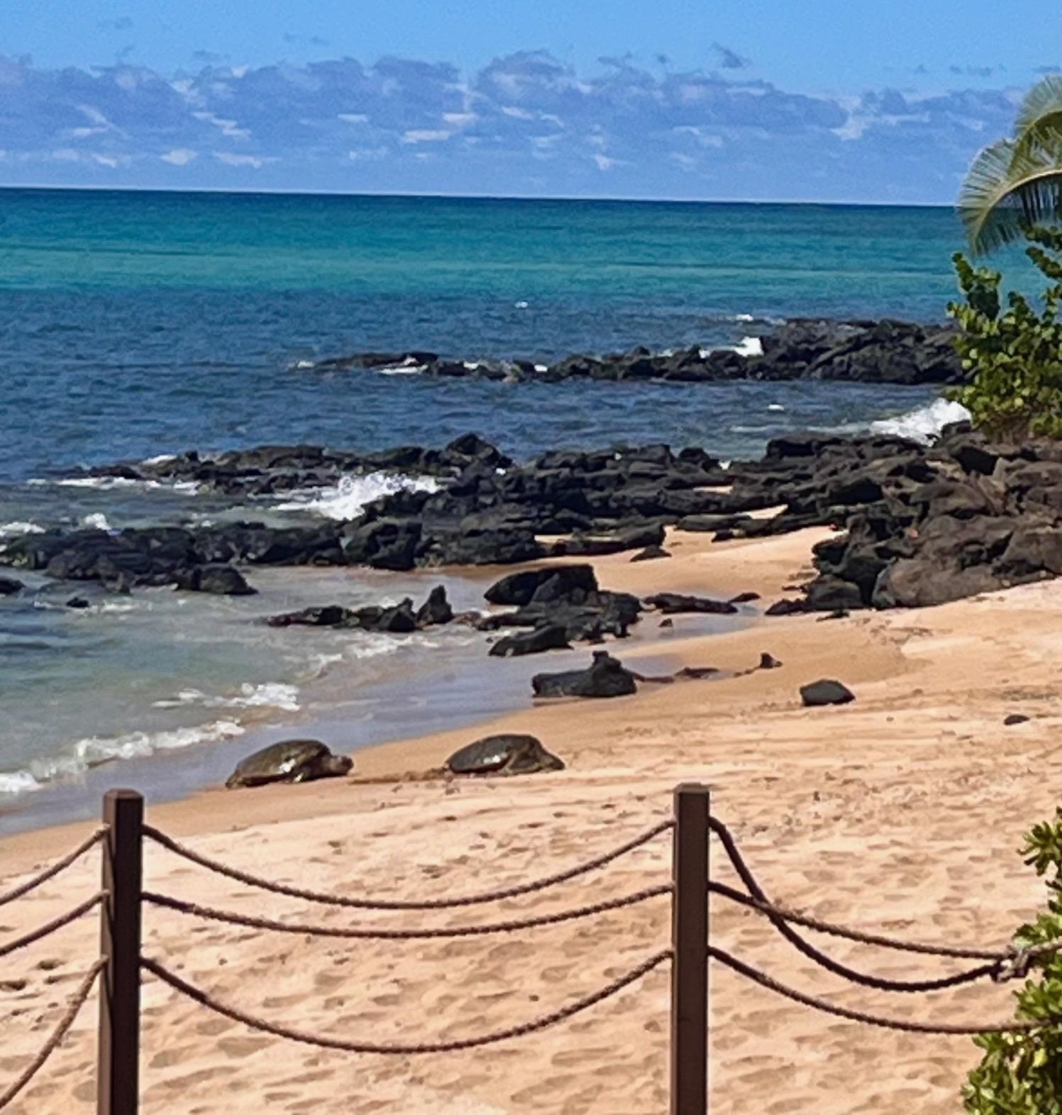 Mahinahina Beach condo # 212, Lahaina, Hawaii - photo 17 of 47