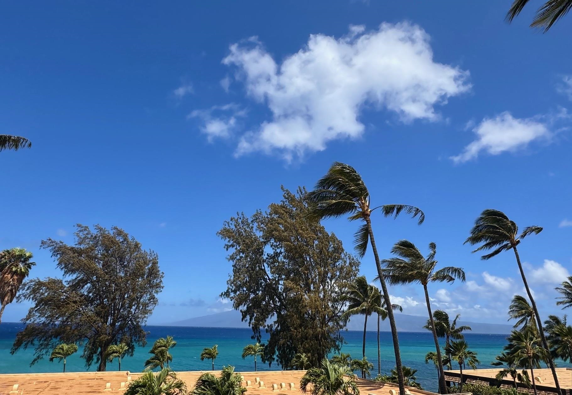 Mahinahina Beach condo # 212, Lahaina, Hawaii - photo 3 of 47