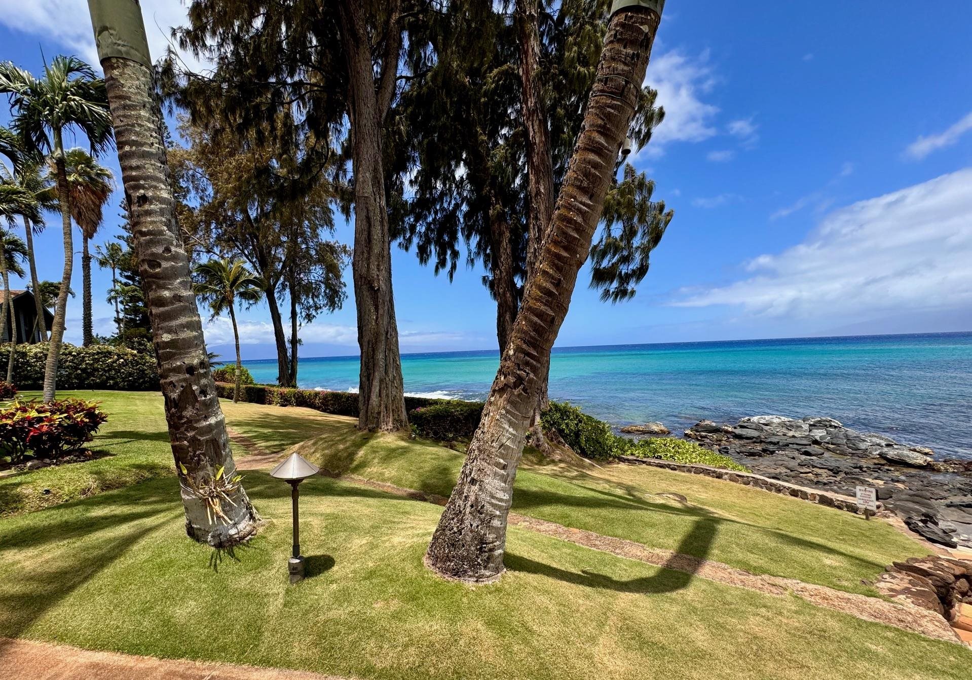 Mahinahina Beach condo # 212, Lahaina, Hawaii - photo 26 of 47