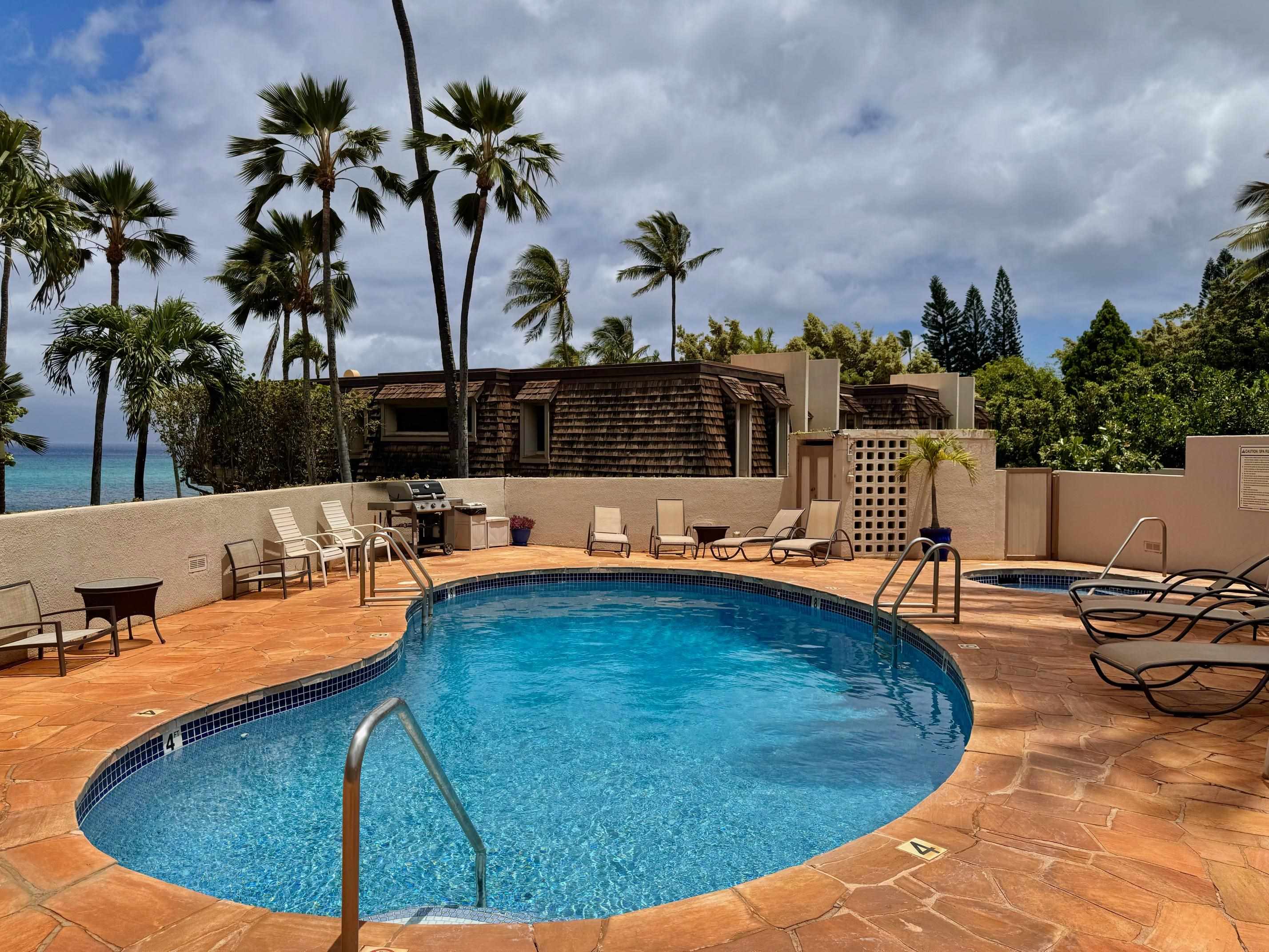 Mahinahina Beach condo # 212, Lahaina, Hawaii - photo 28 of 47