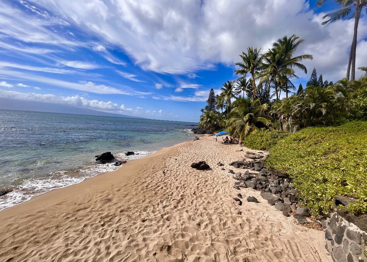 Mahinahina Beach condo # 212, Lahaina, Hawaii - photo 10 of 48