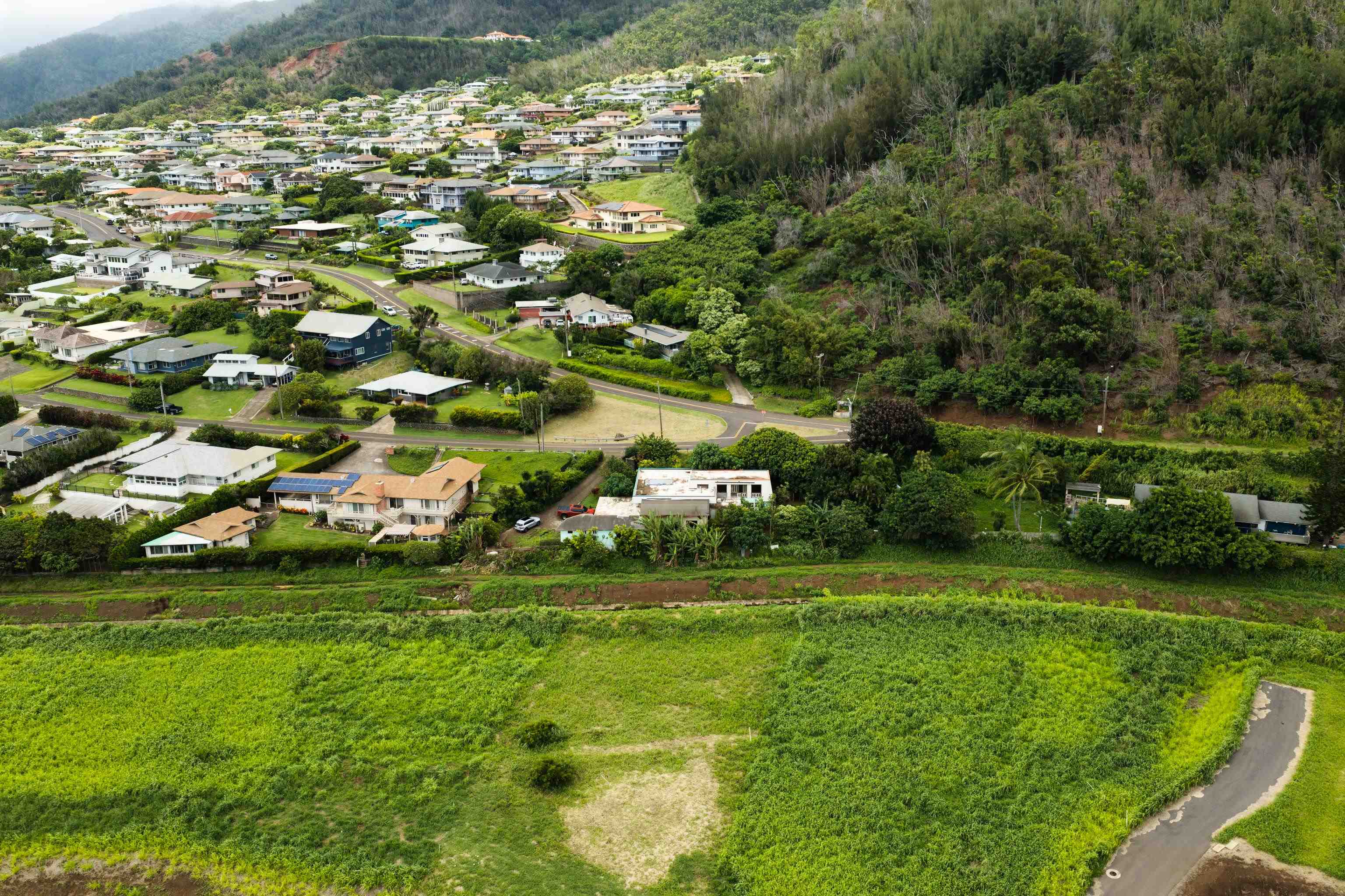 401  Palani Pl Wailuku Heights, Wailuku home - photo 30 of 40