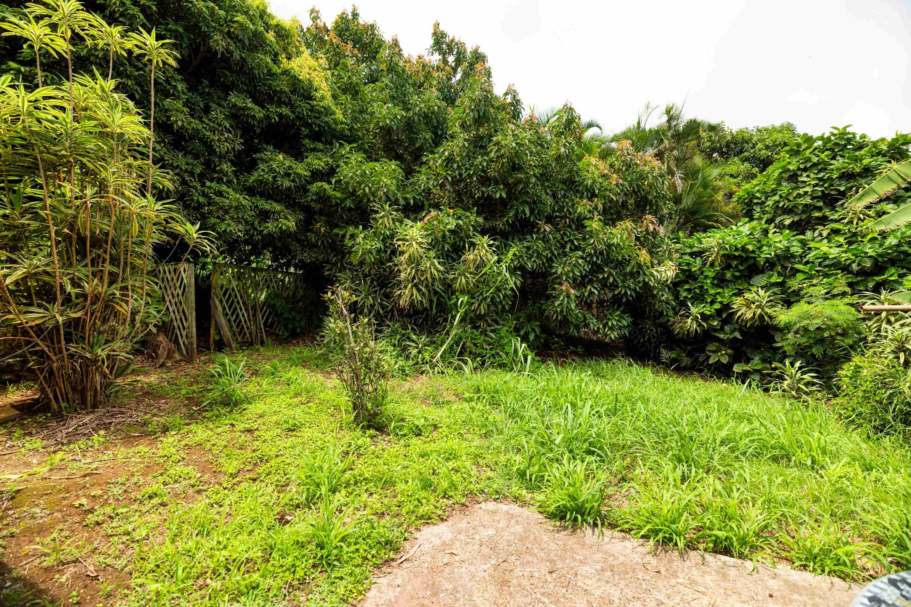 401  Palani Pl Wailuku Heights, Wailuku home - photo 31 of 40