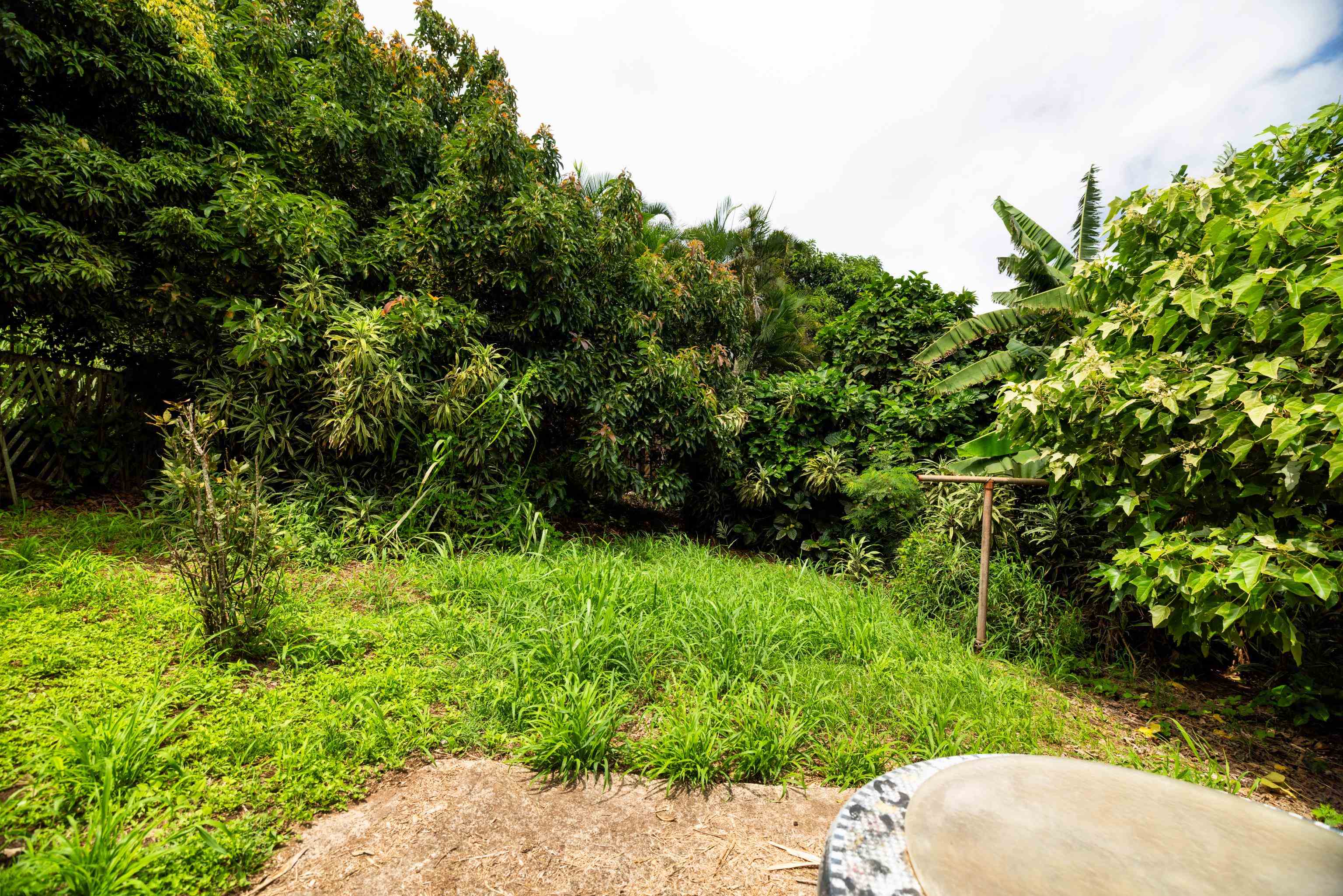 401  Palani Pl Wailuku Heights, Wailuku home - photo 32 of 40