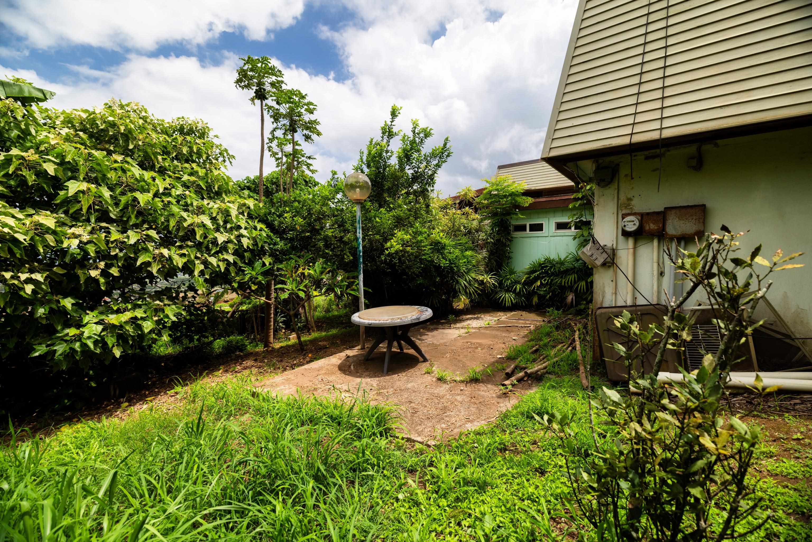 401  Palani Pl Wailuku Heights, Wailuku home - photo 33 of 40