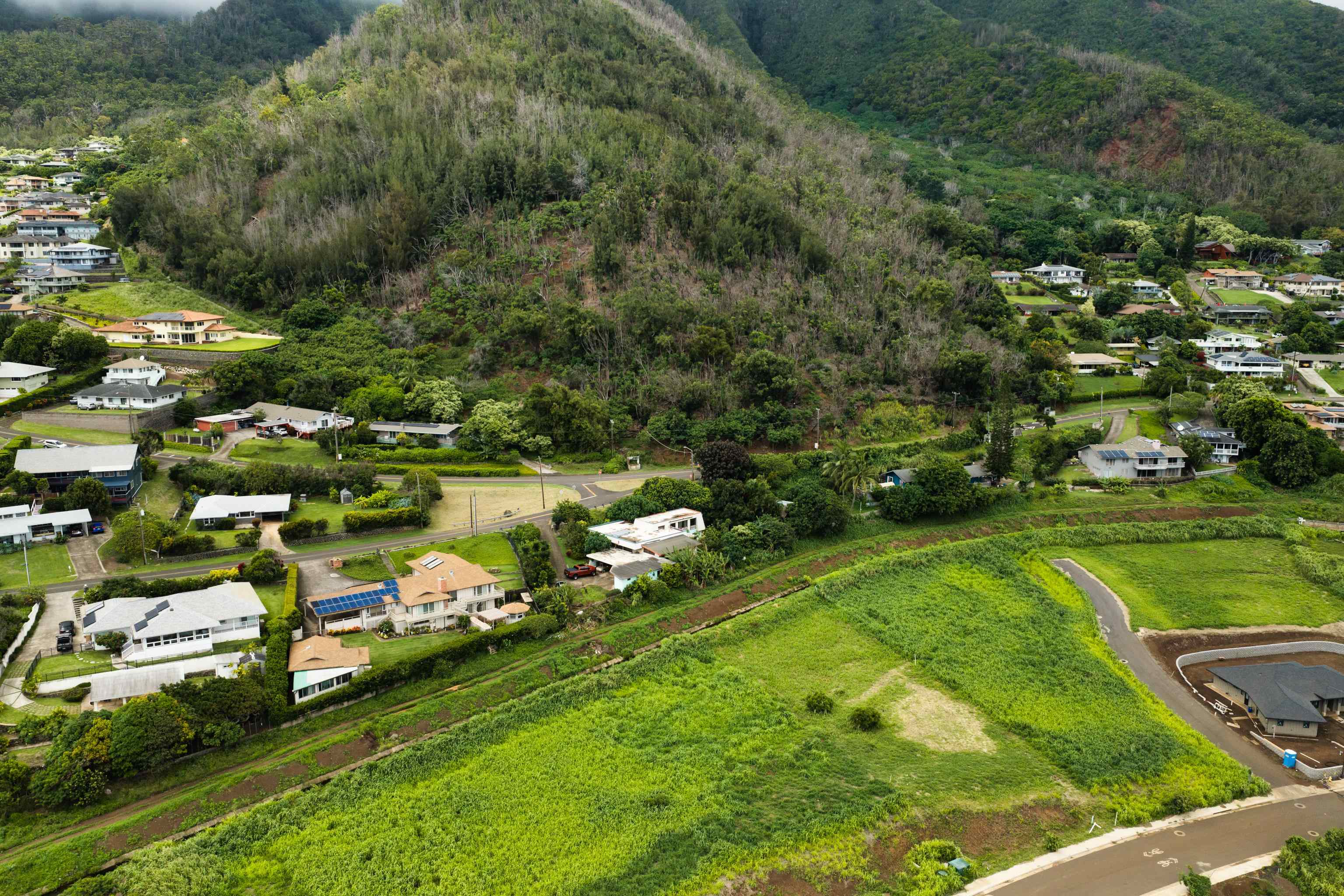 401  Palani Pl Wailuku Heights, Wailuku home - photo 40 of 40