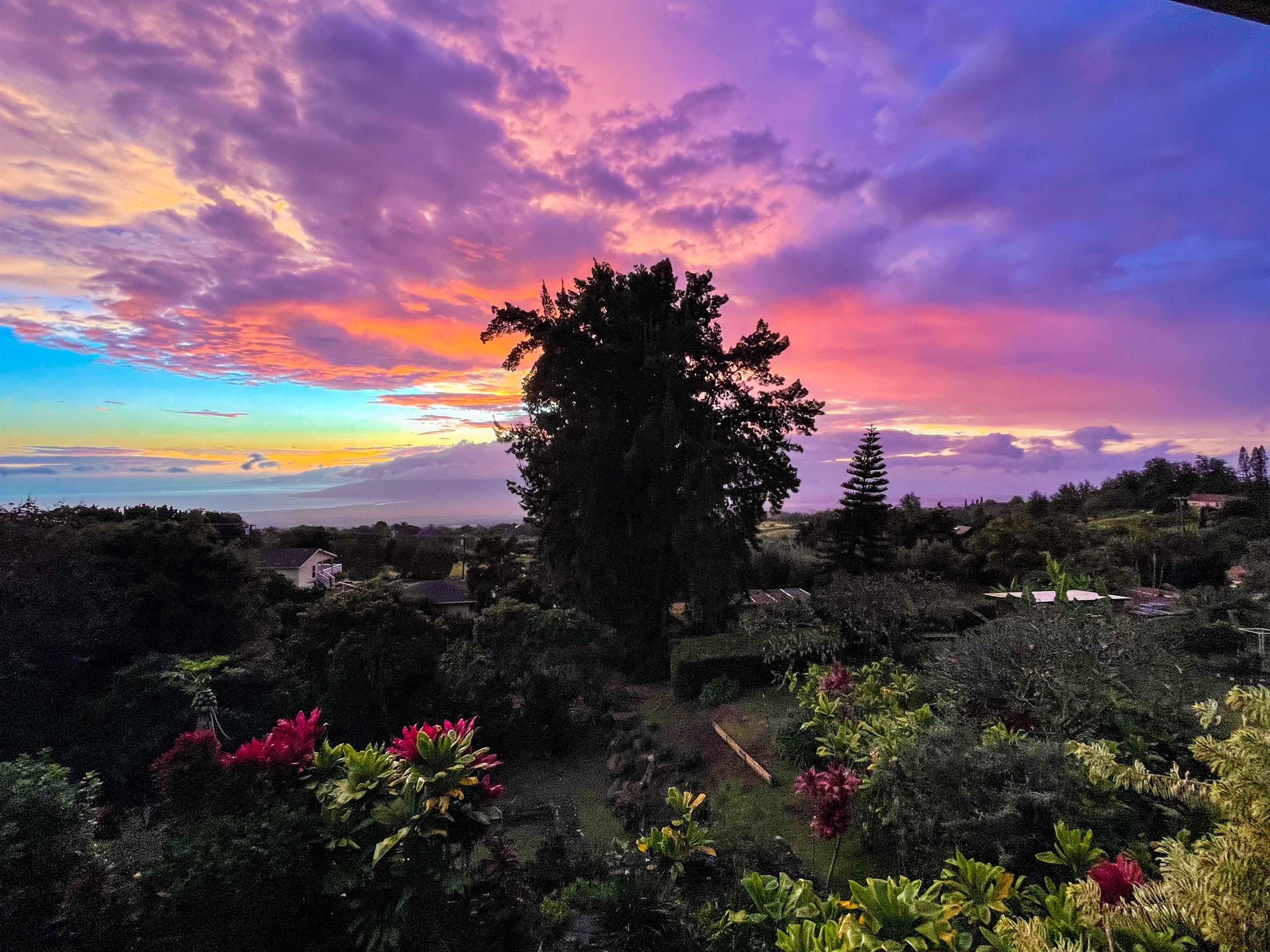 4010  Kula Hwy , Kula/Ulupalakua/Kanaio home - photo 19 of 43