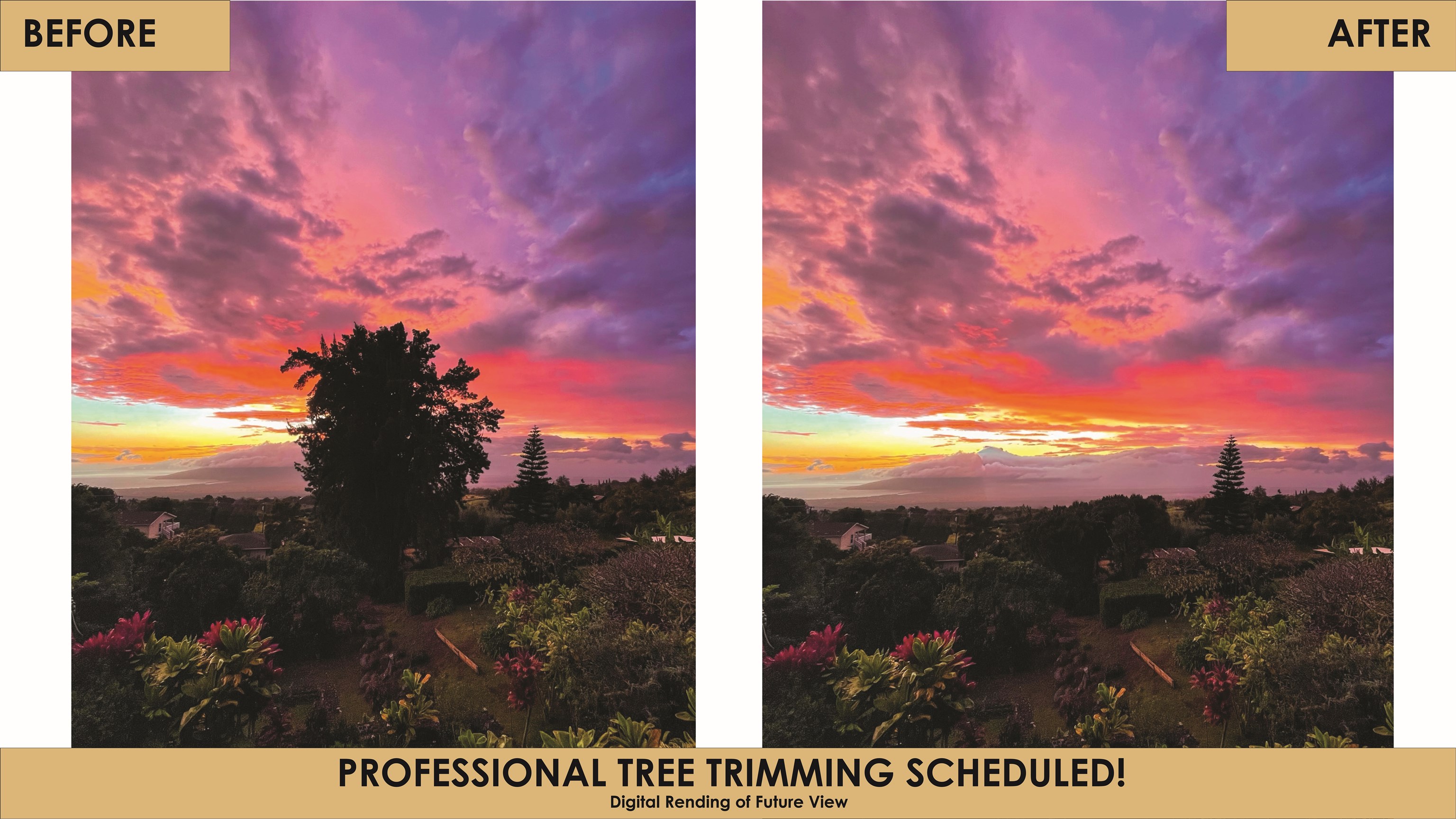 4010  Kula Hwy , Kula/Ulupalakua/Kanaio home - photo 3 of 43