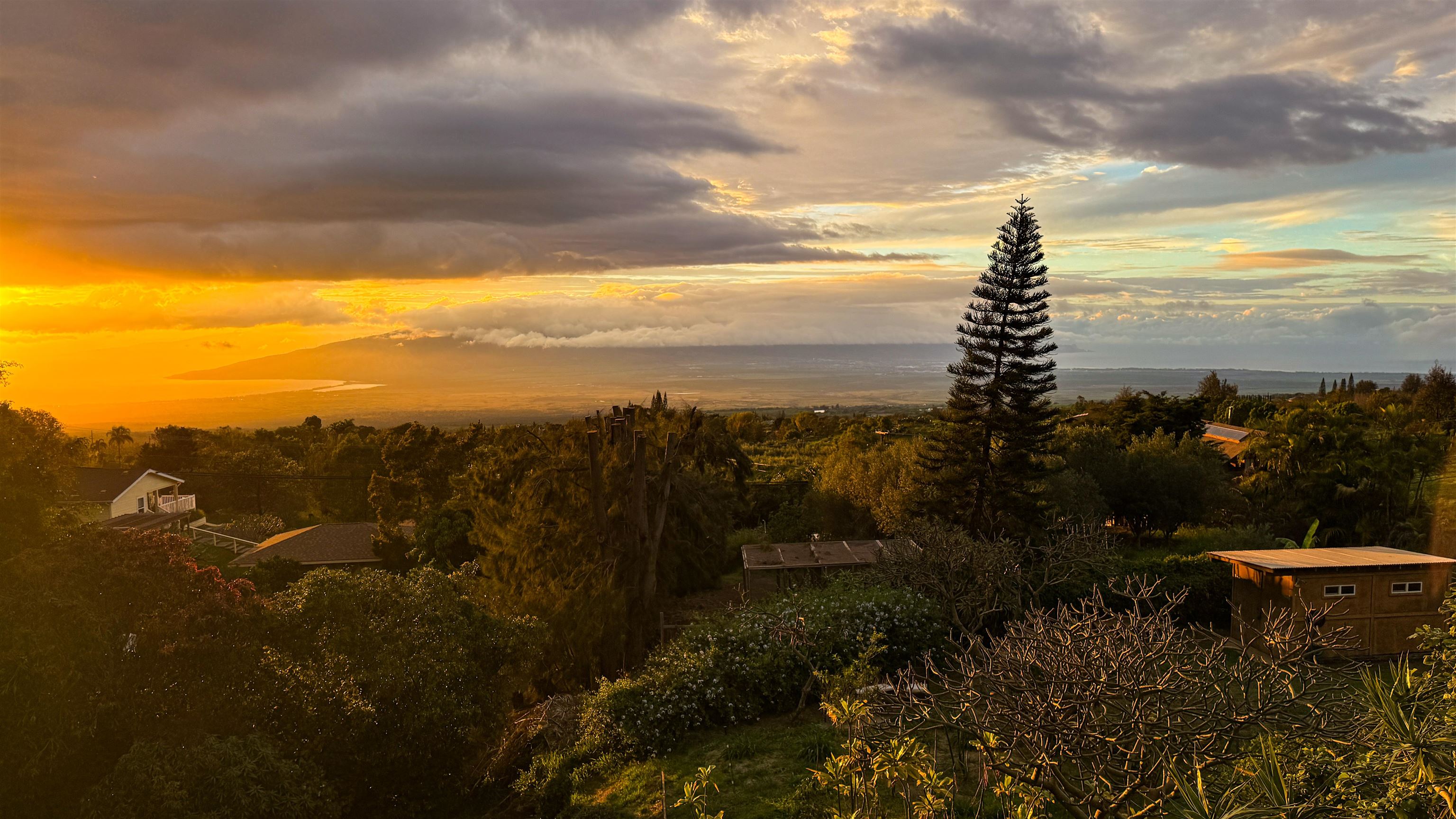 4010  Kula Hwy , Kula/Ulupalakua/Kanaio home - photo 21 of 43