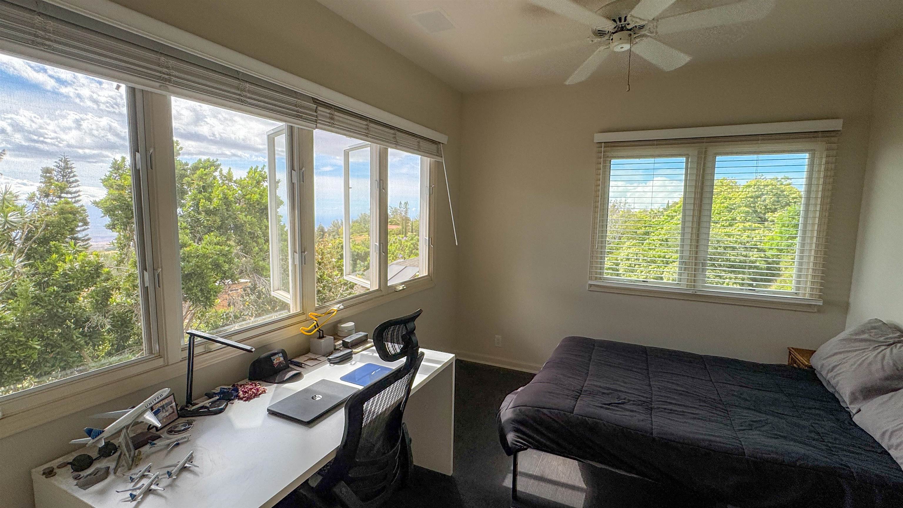 4010  Kula Hwy , Kula/Ulupalakua/Kanaio home - photo 30 of 43