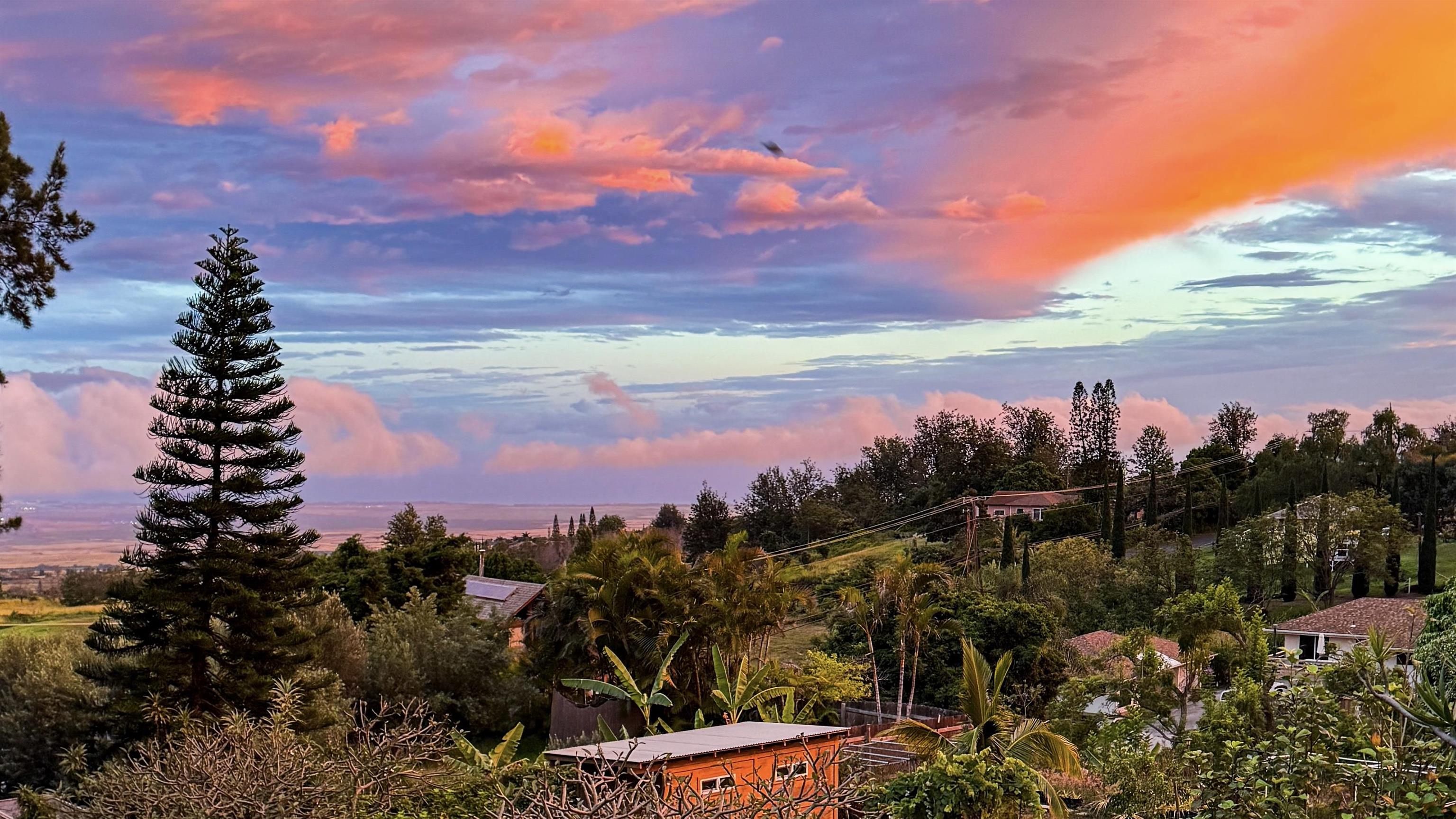 4010  Kula Hwy , Kula/Ulupalakua/Kanaio home - photo 42 of 43