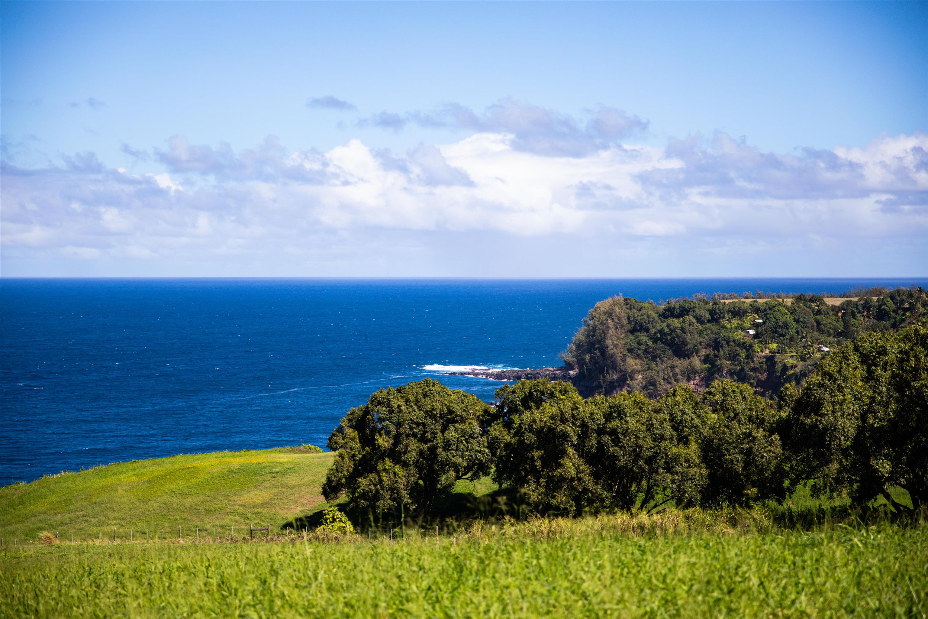 402 Mehana Rd   - photo 12 of 20