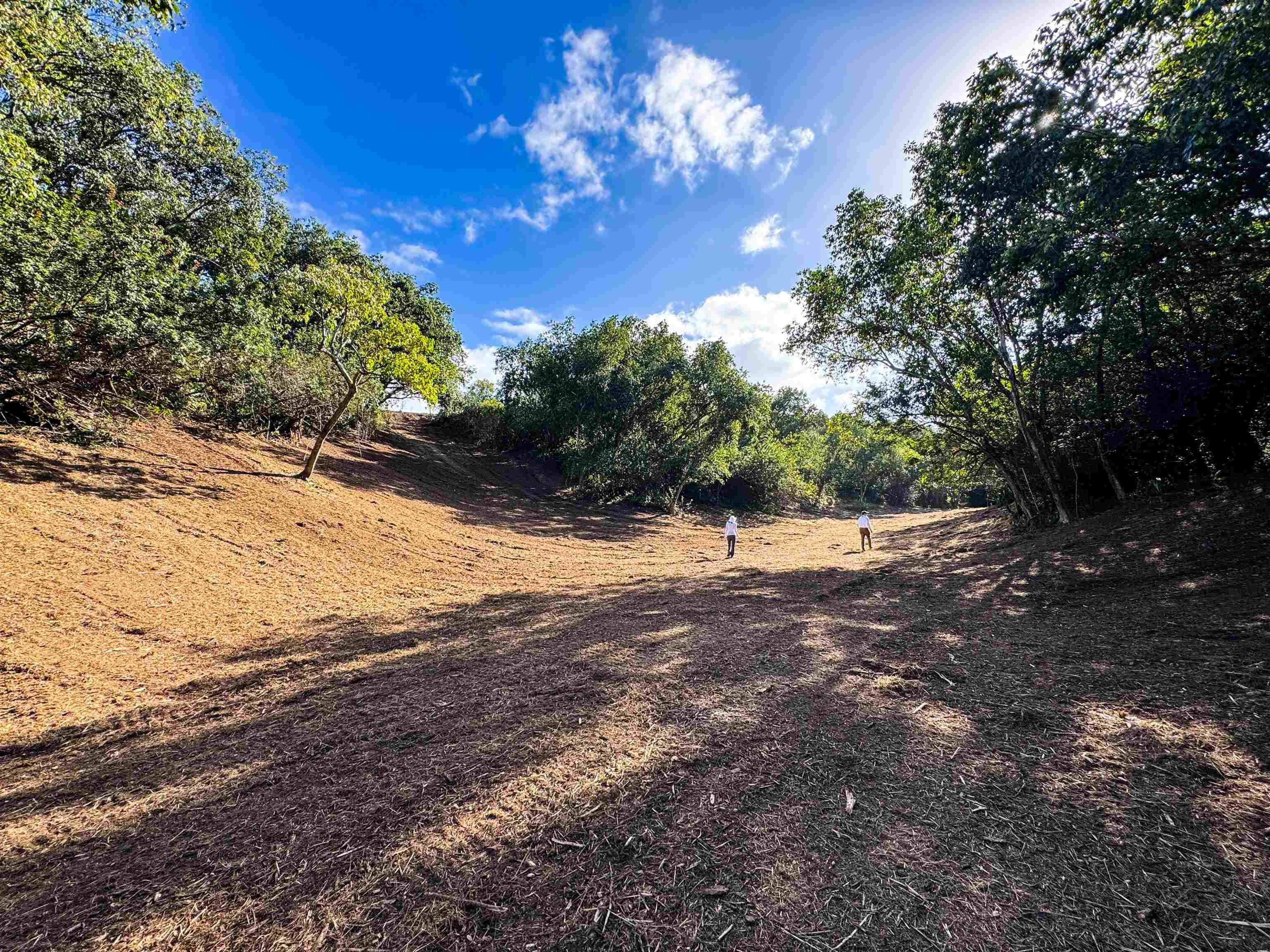 402 Mehana Rd   - photo 13 of 20