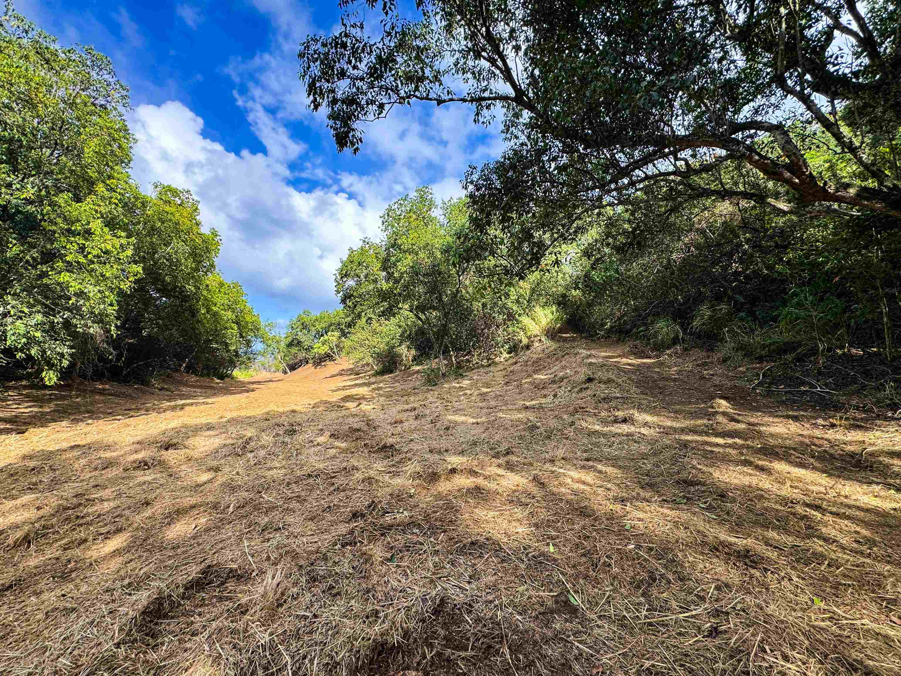 402 Mehana Rd   - photo 14 of 20