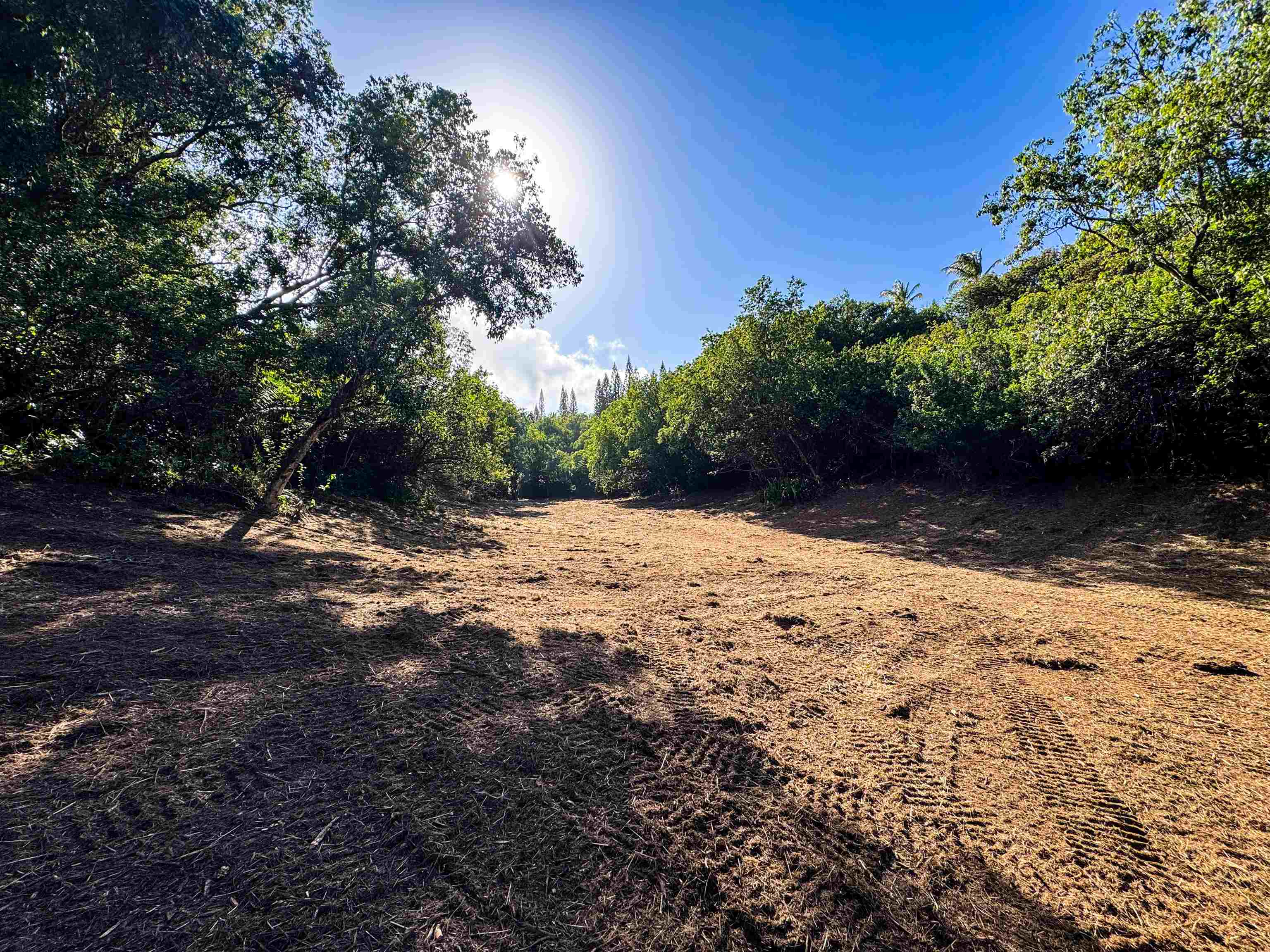 402 Mehana Rd   - photo 15 of 20