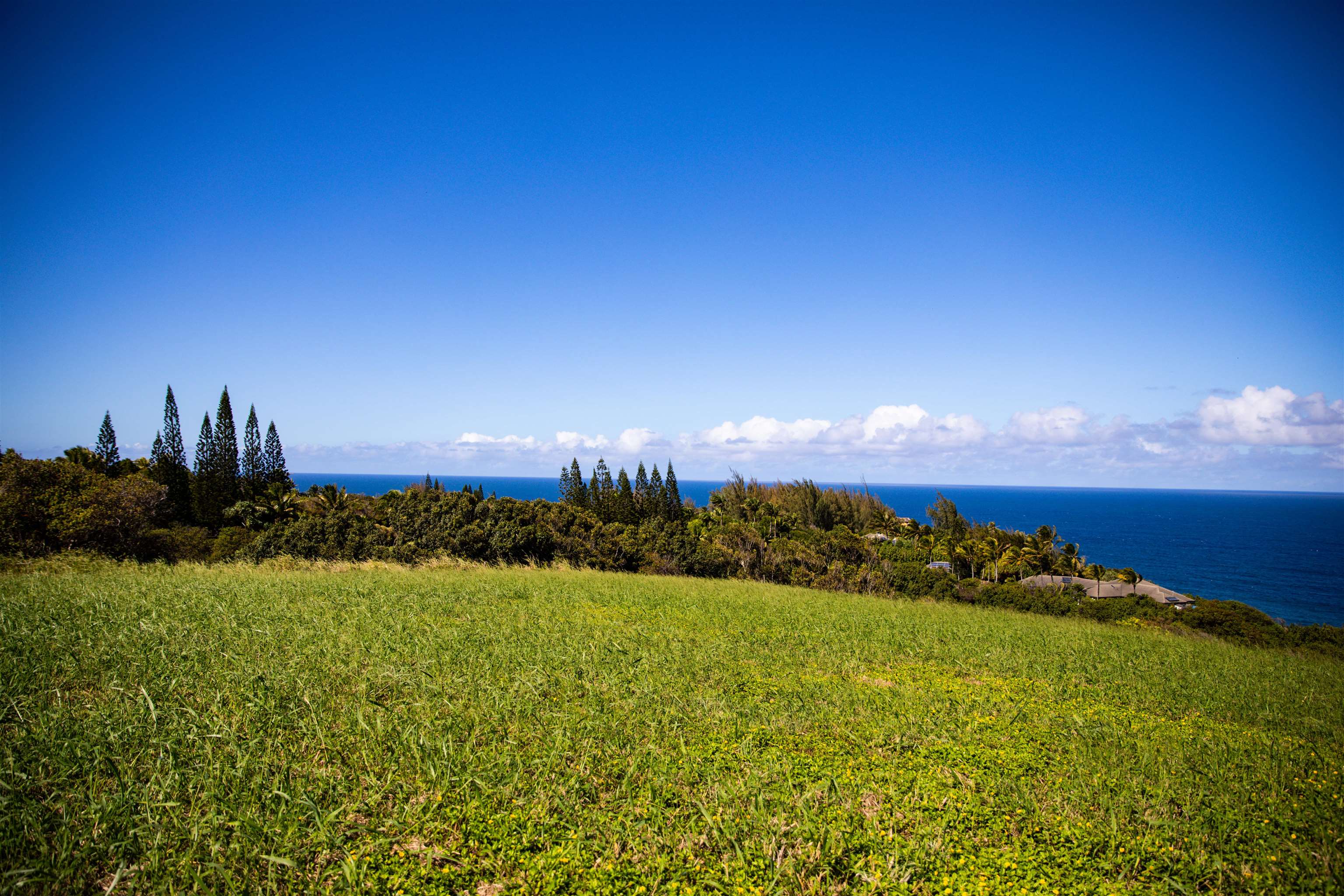 402 Mehana Rd   - photo 18 of 20