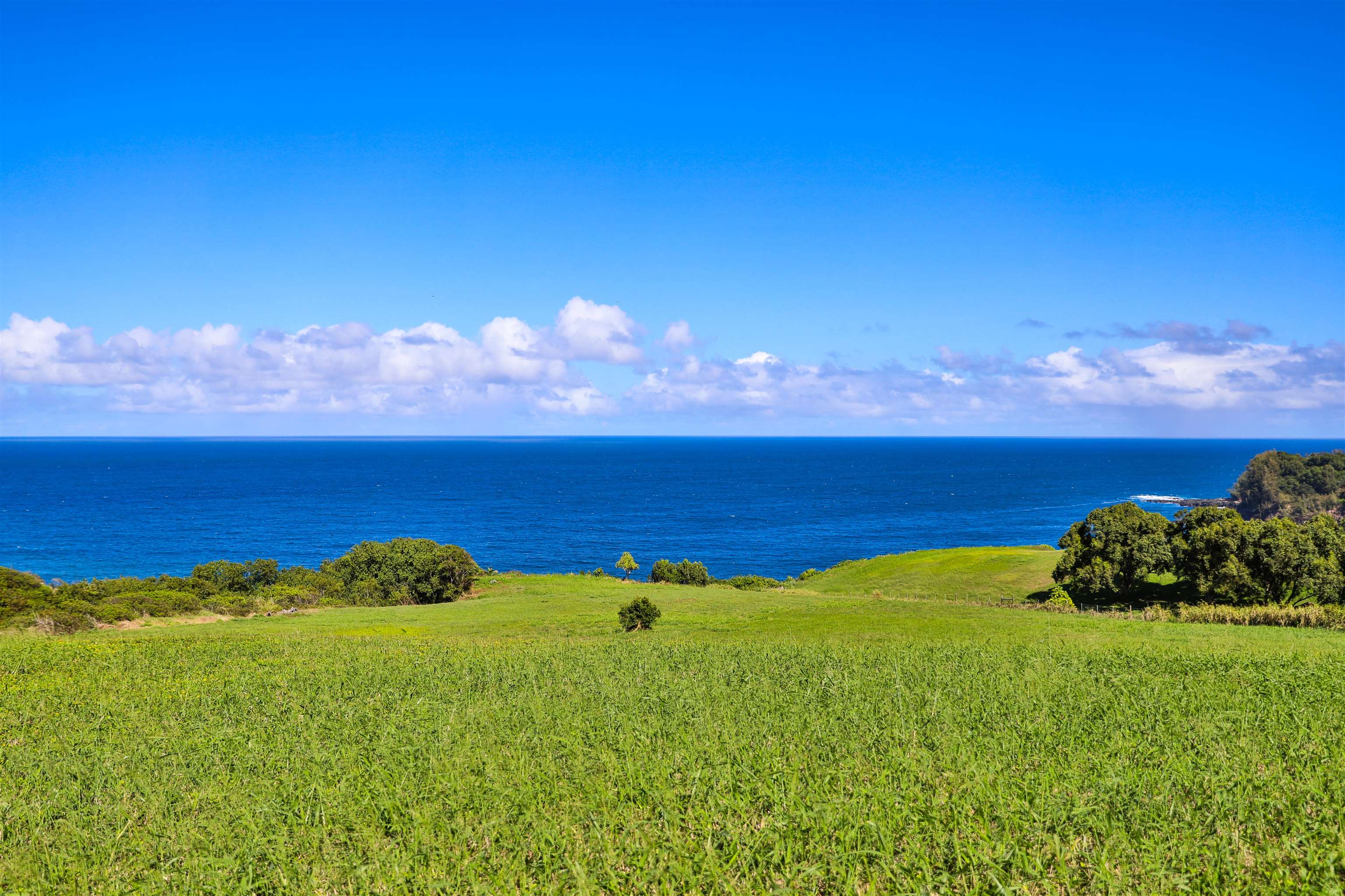 402 Mehana Rd   - photo 19 of 20