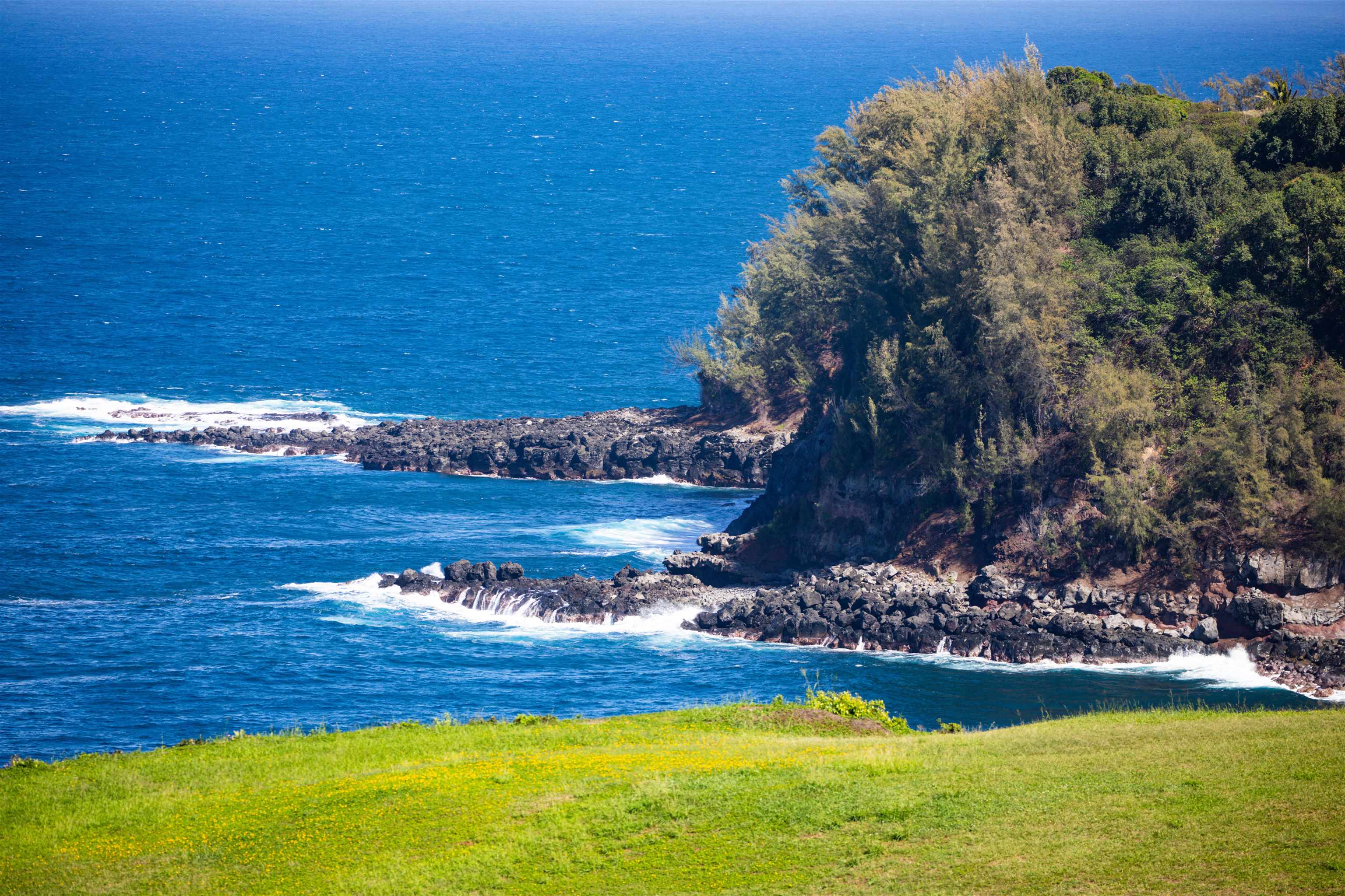 402 Mehana Rd   - photo 20 of 20