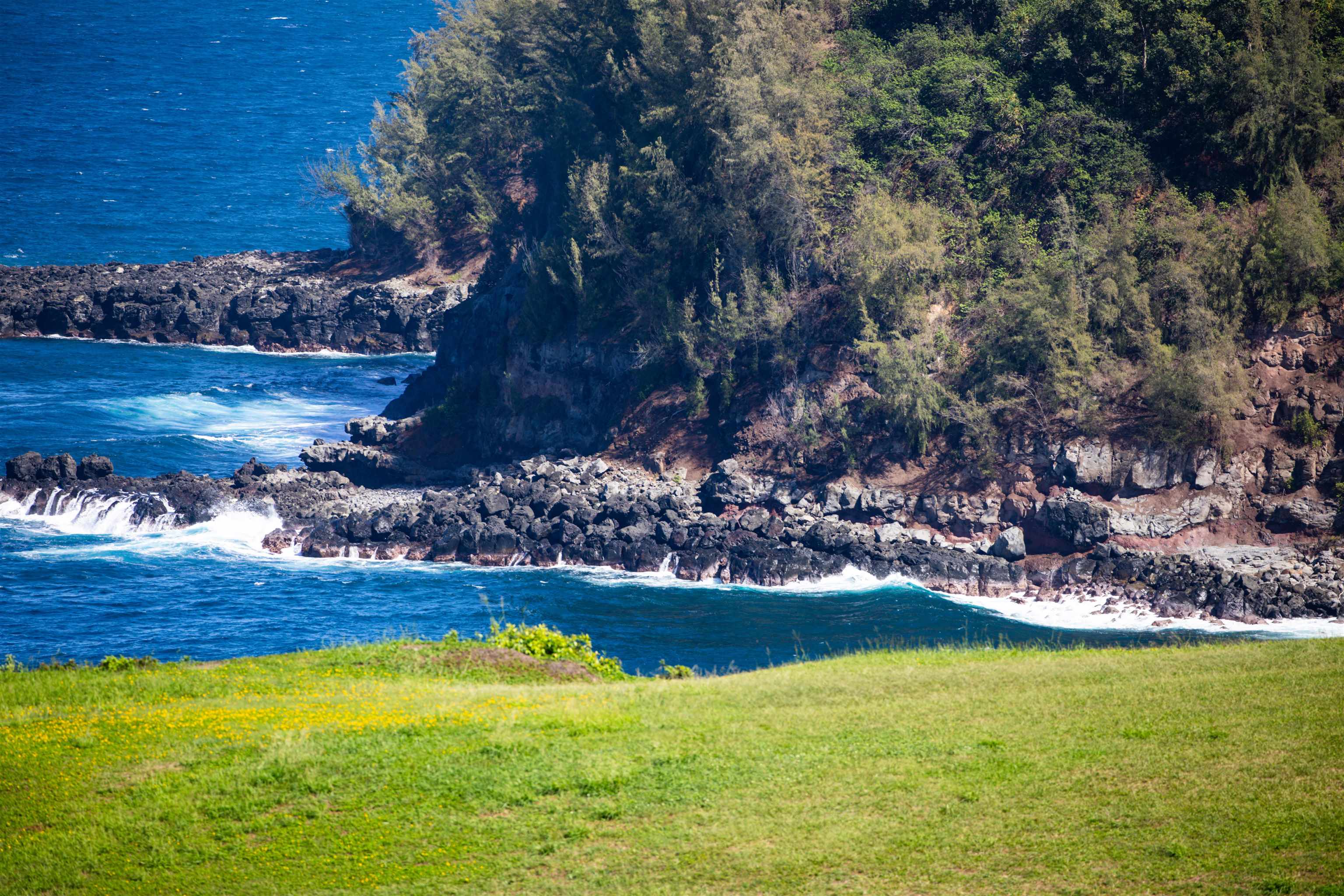 402 Mehana Rd   - photo 4 of 20