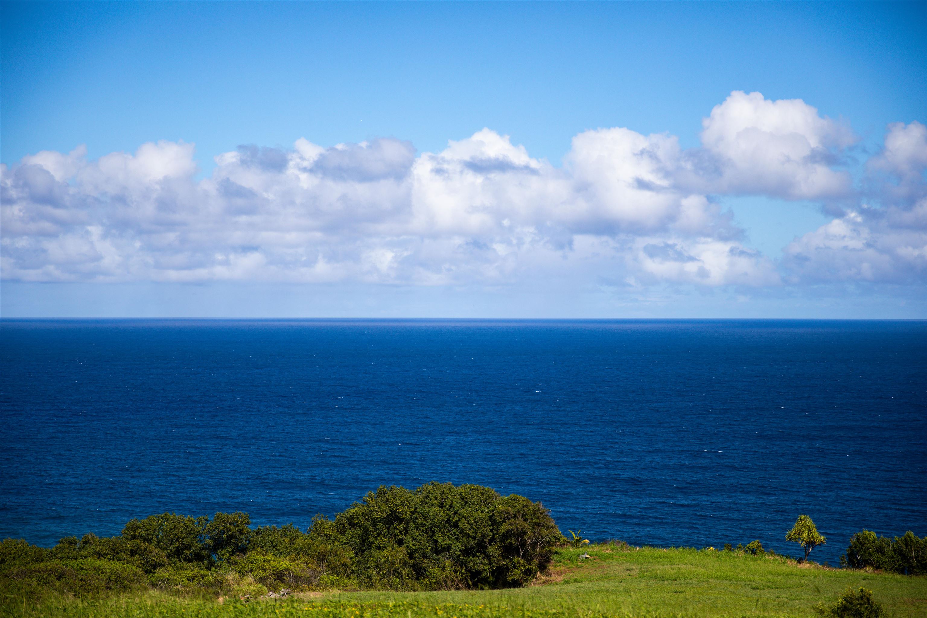 402 Mehana Rd   - photo 5 of 20