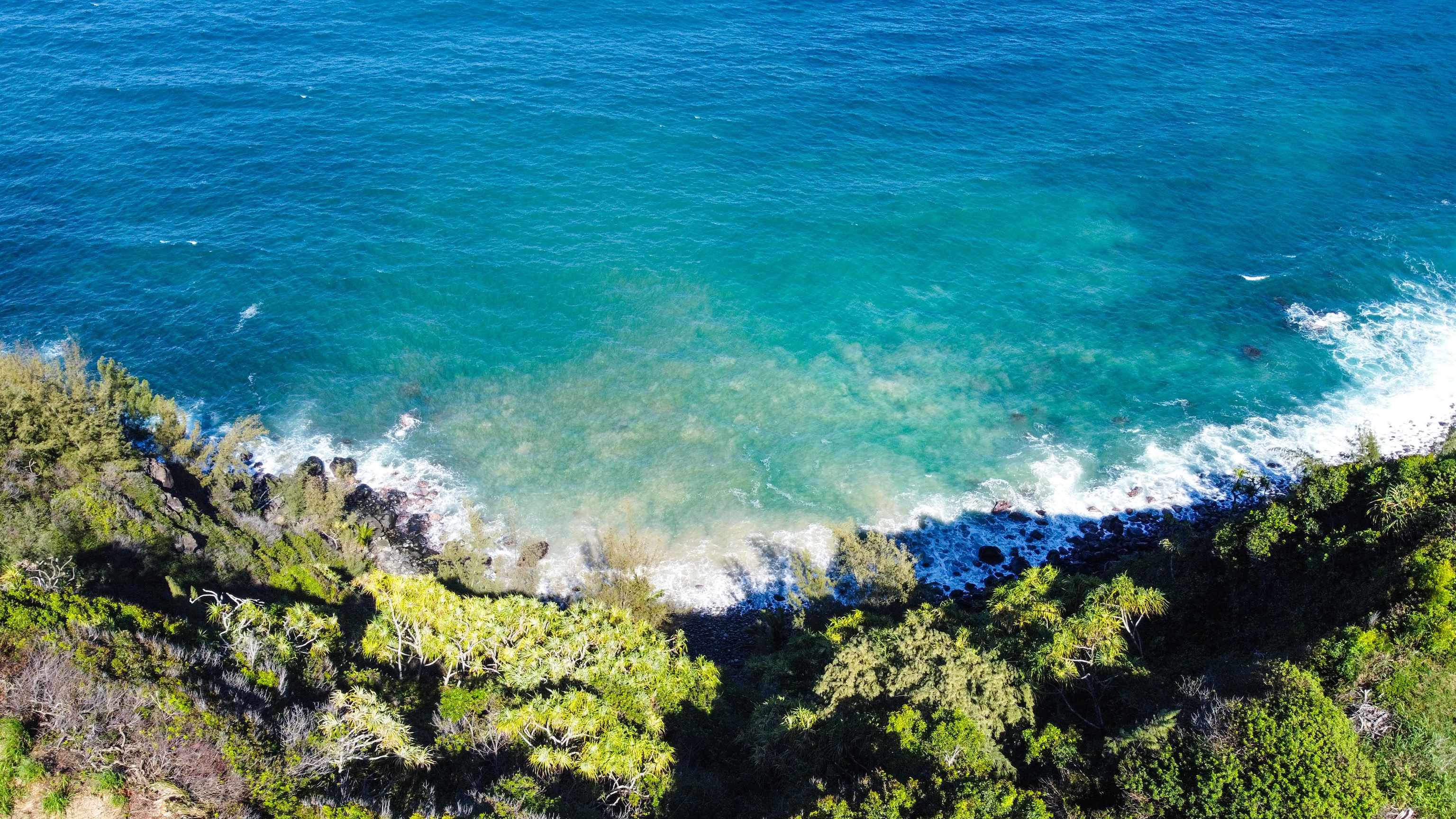 402 Mehana Rd   - photo 7 of 20