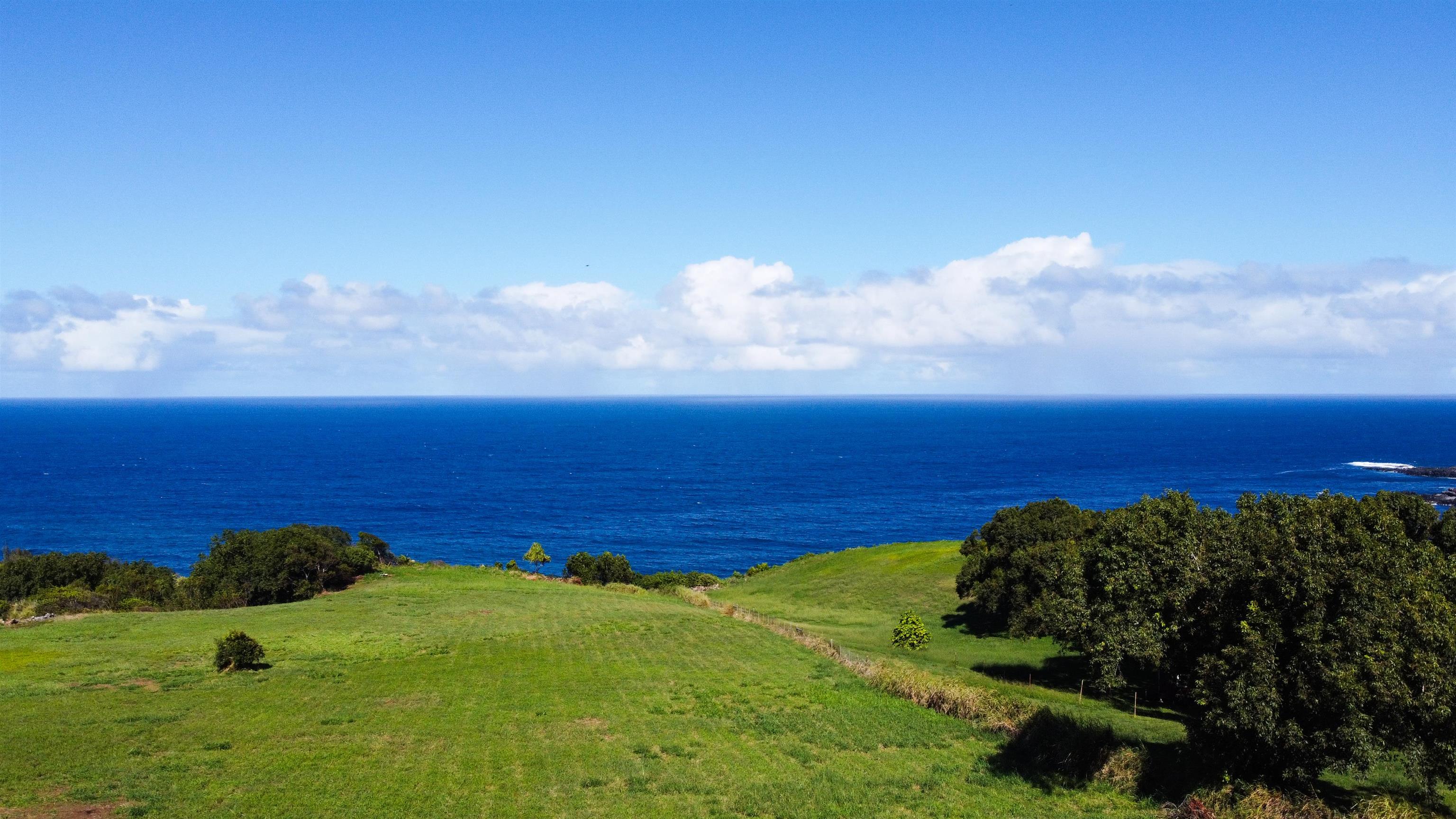 402 Mehana Rd   - photo 8 of 20