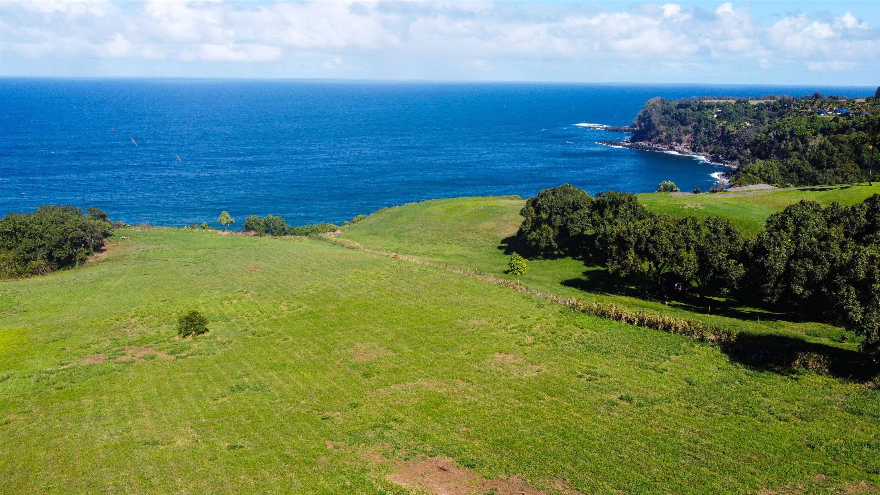 402 Mehana Rd   - photo 9 of 20