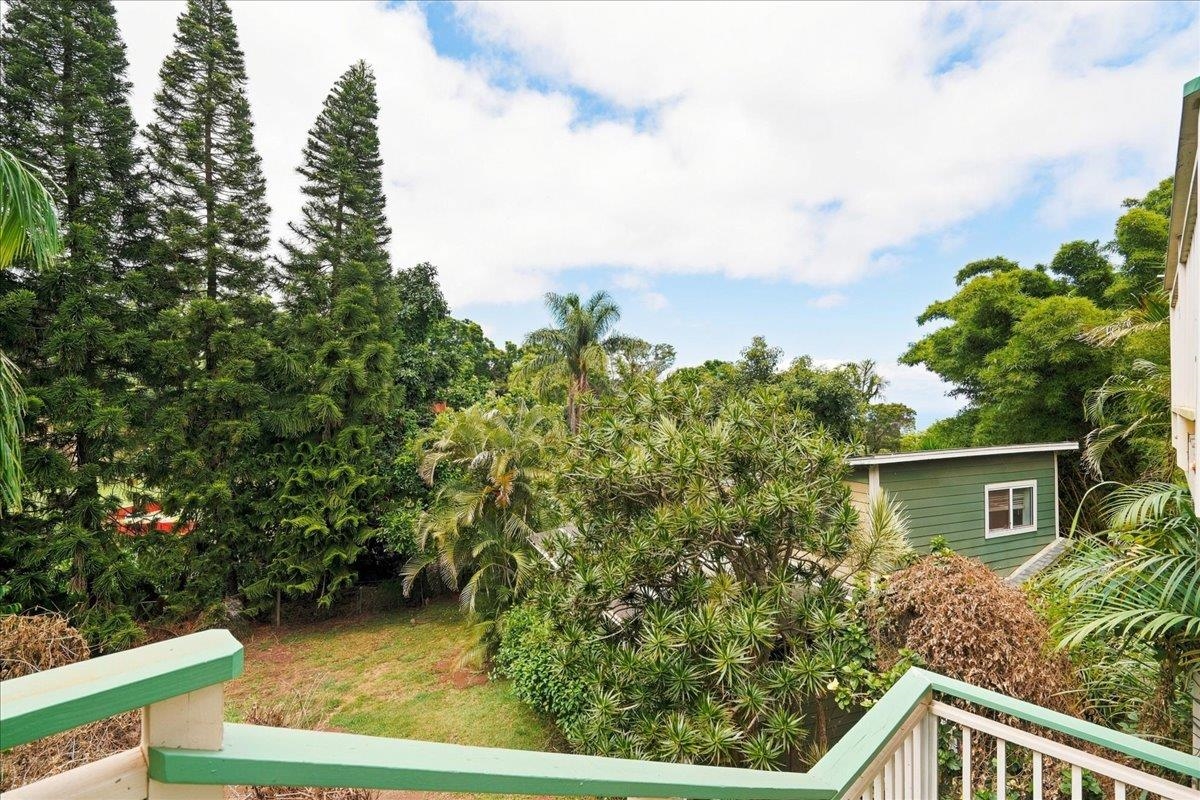 4030  Lower Kula Rd , Kula/Ulupalakua/Kanaio home - photo 21 of 40