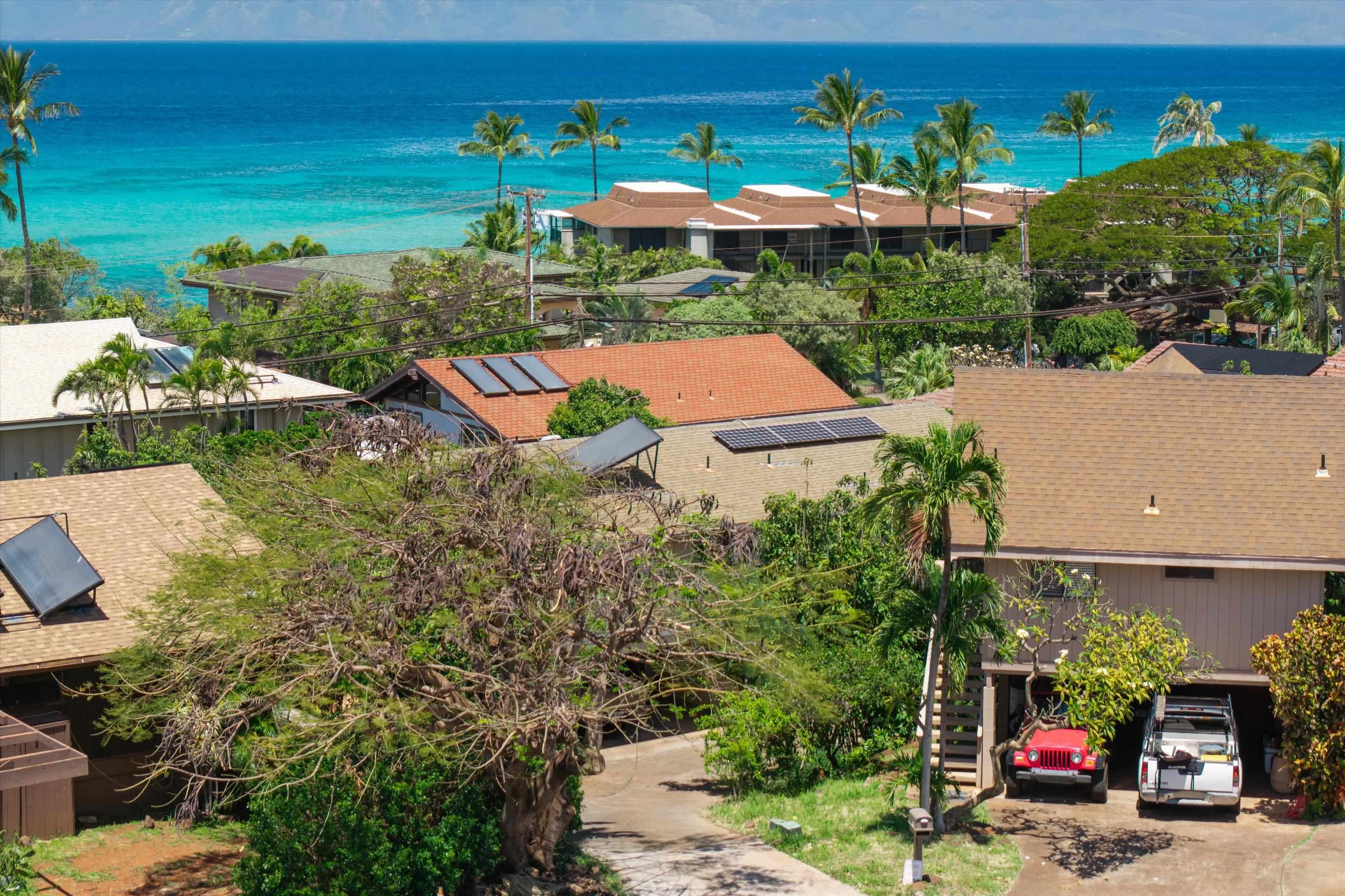 4055  Mahinahina Pl Mahinahina, Napili/Kahana/Honokowai home - photo 45 of 50