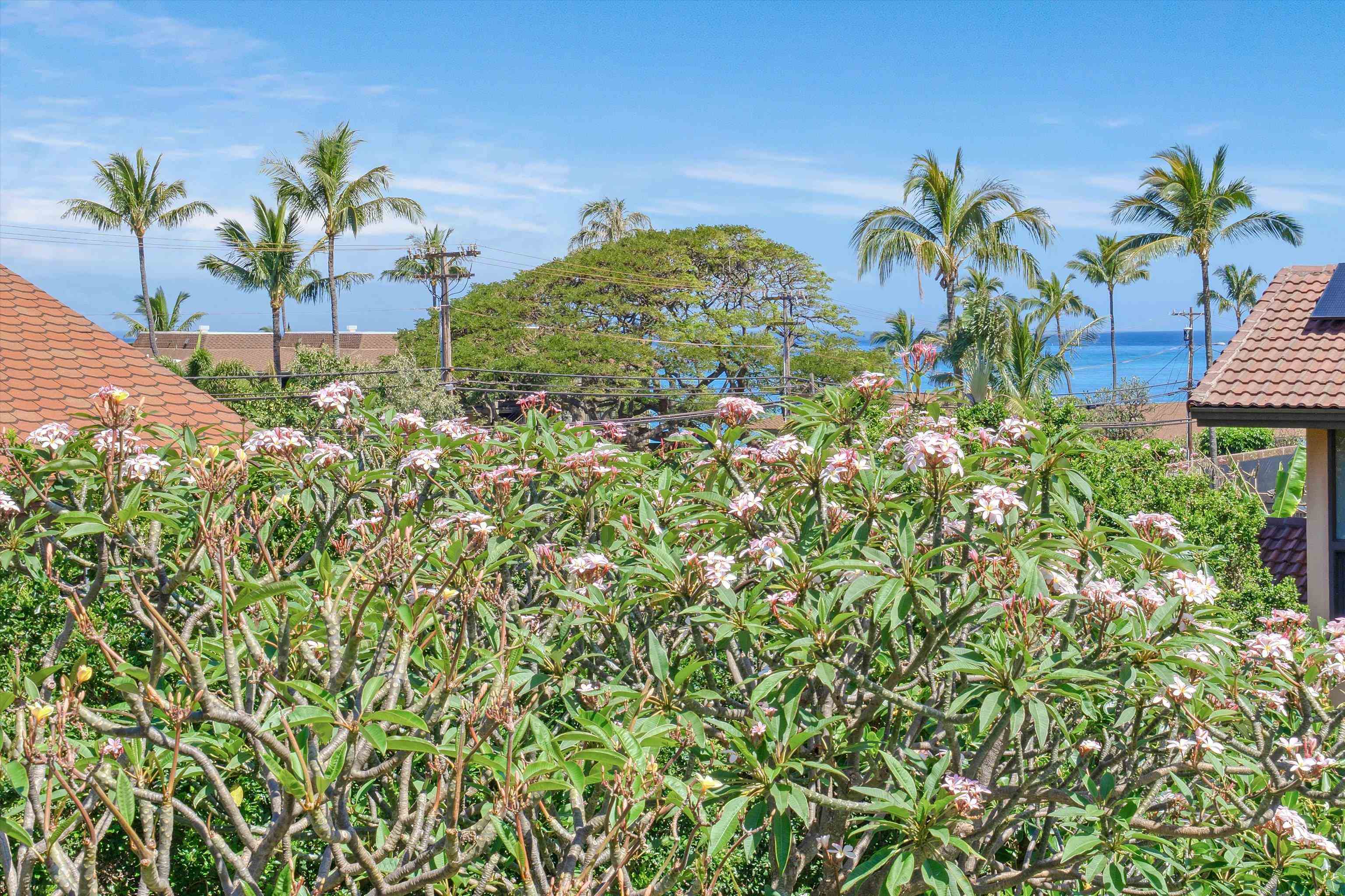 4055  Mahinahina Pl Mahinahina, Napili/Kahana/Honokowai home - photo 7 of 50
