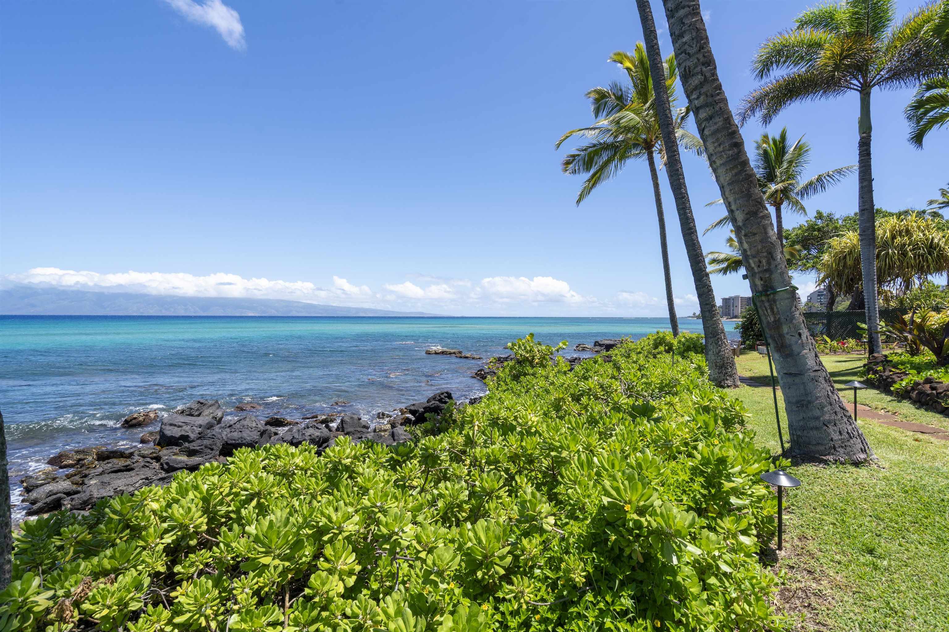 Mahina Surf condo # 113, Lahaina, Hawaii - photo 20 of 23