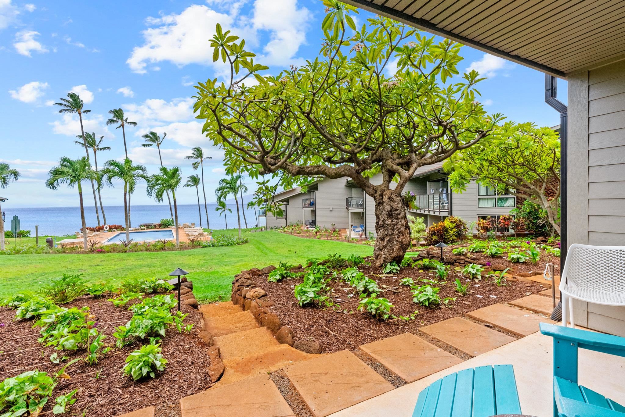 Mahina Surf condo # 114, Lahaina, Hawaii - photo 9 of 23