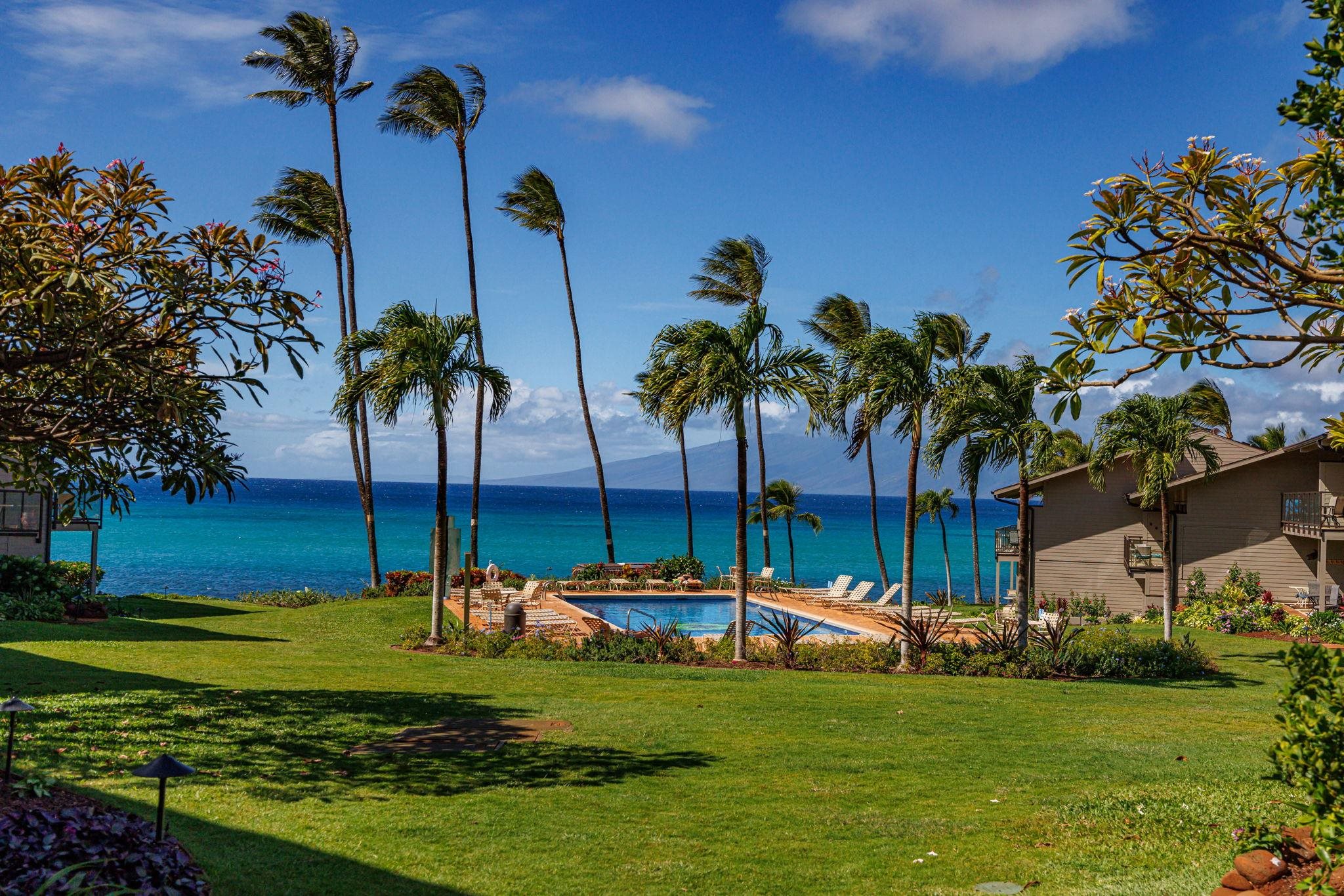 Mahina Surf condo # 116, Lahaina, Hawaii - photo 29 of 38