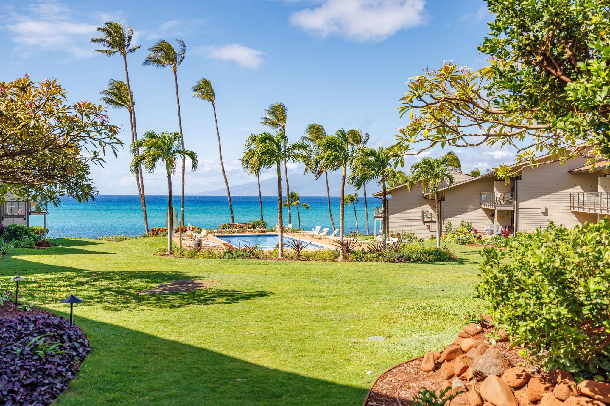 Mahina Surf condo # 116, Lahaina, Hawaii - photo 8 of 38
